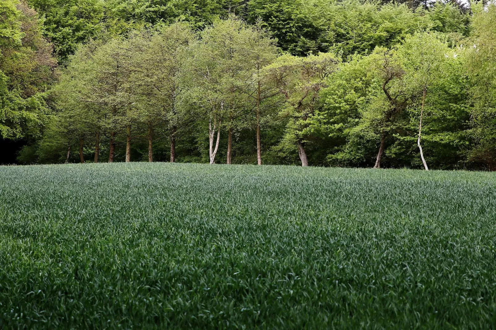 Luxe zwembadvilla in Lohals -- By Traum Ferienwohnungen-Niet-getagd