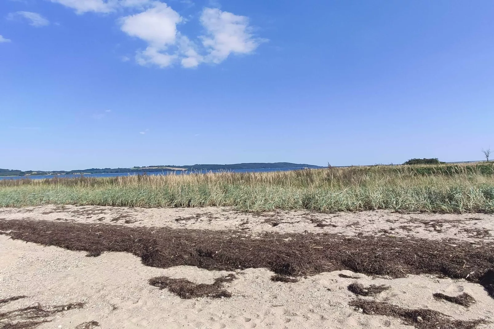 Panoramisch toevluchtsoord in Andkaer Vig -- By Traum Ferienwohnungen-Niet-getagd