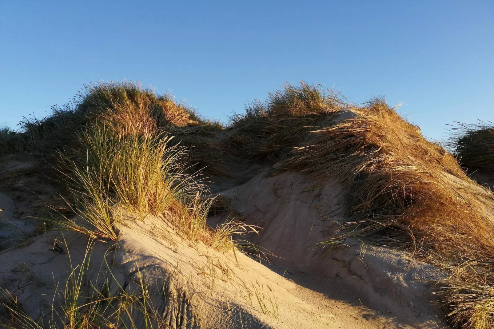 Luxe appartement met jacuzzi-Niet-getagd
