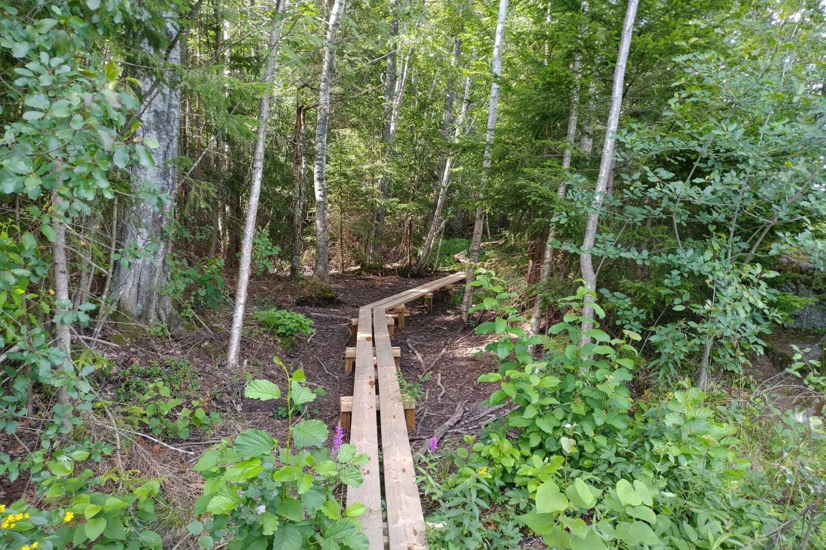 7 persoons vakantie huis in VIRSERUM-By Traum-Niet-getagd