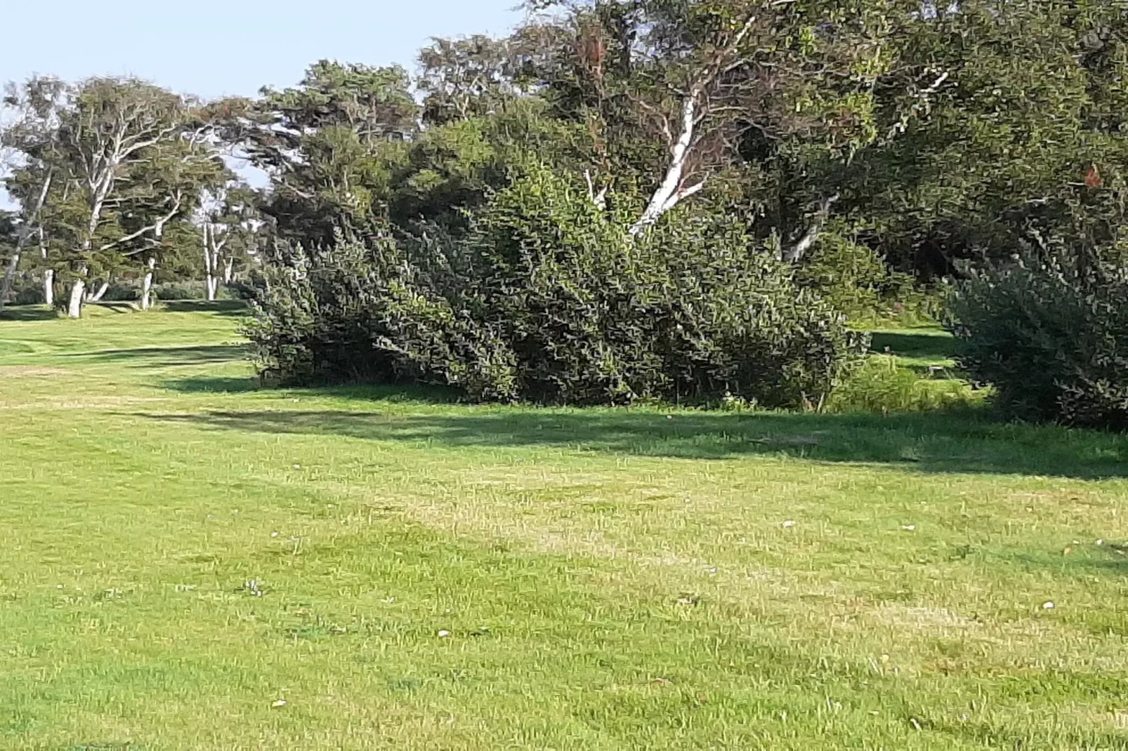 6 persoons vakantie huis in Læsø-By Traum-Niet-getagd