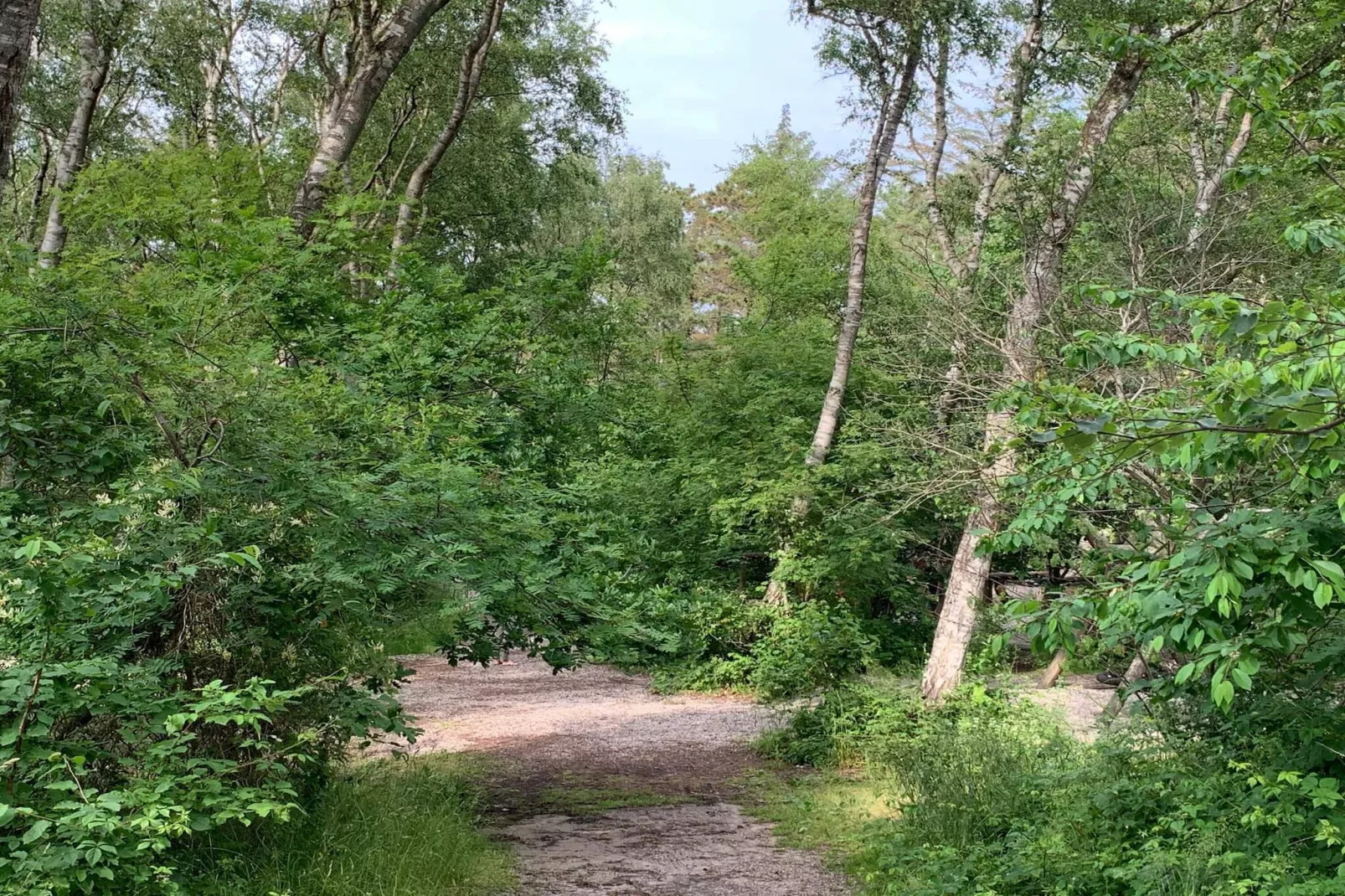 6 persoons vakantie huis in Frederiksværk-By Traum-Niet-getagd