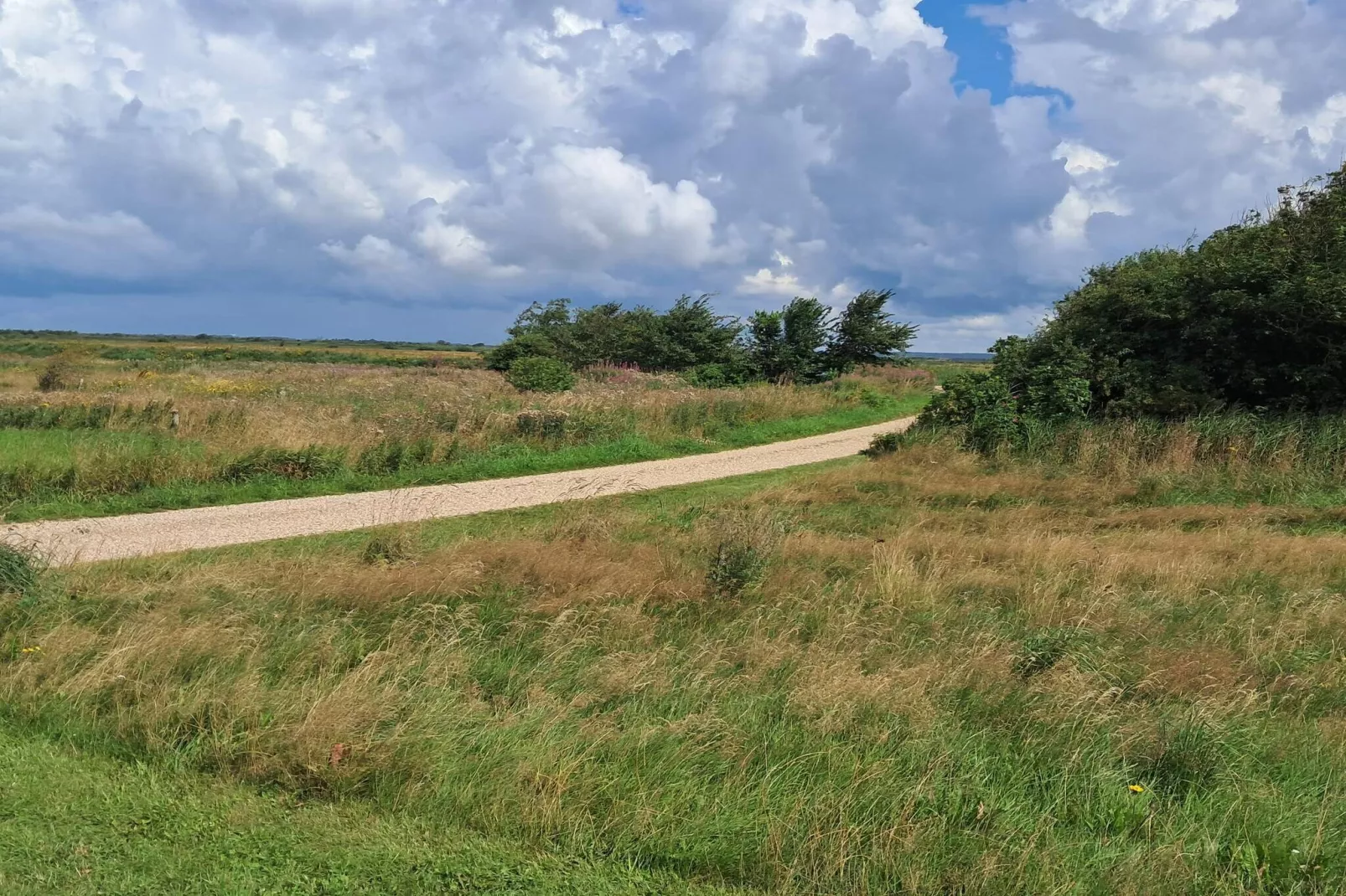 6 persoons vakantie huis in Tarm-By Traum-Buitenlucht