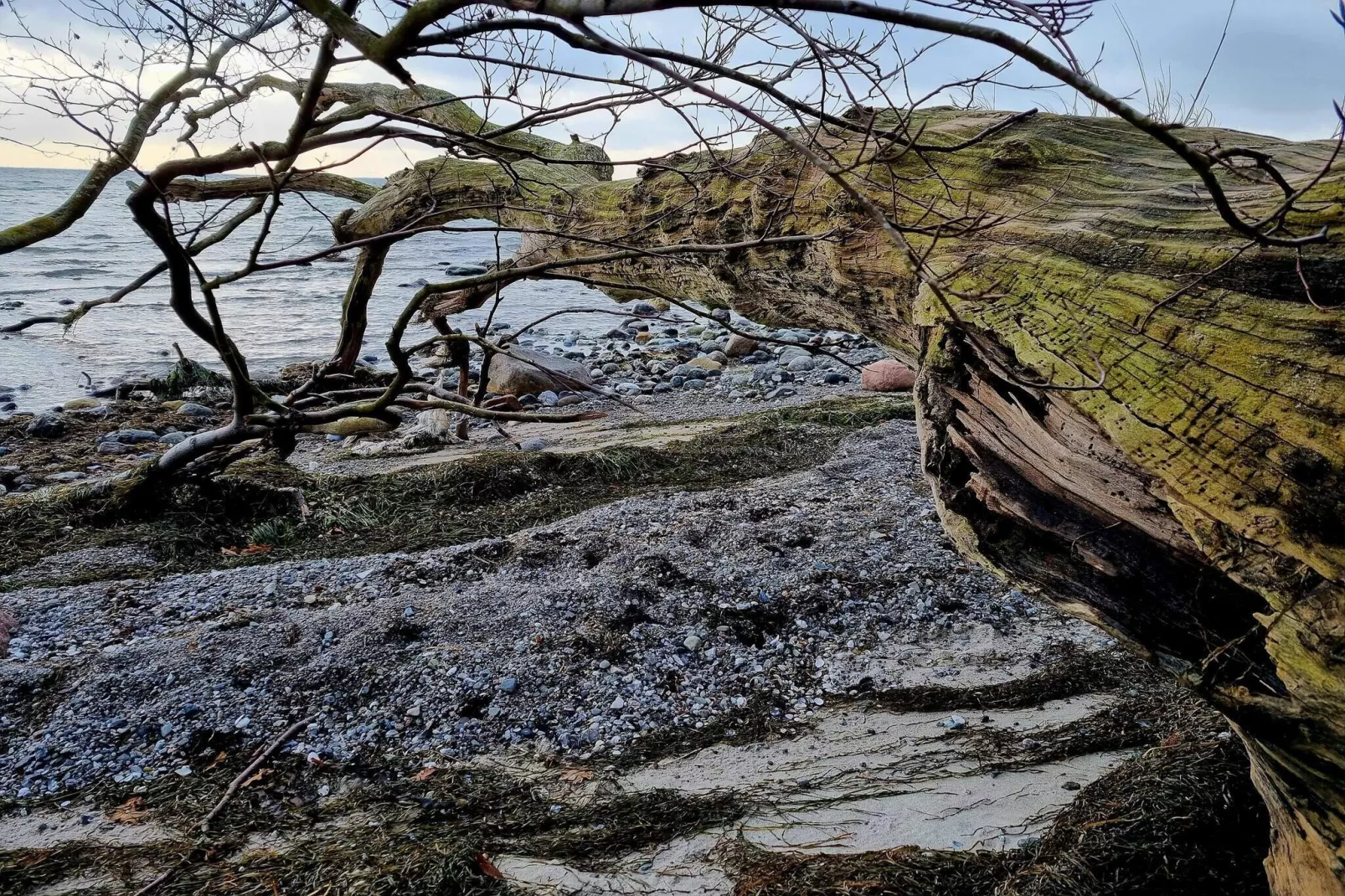 4 persoons vakantie huis in Faxe Ladeplads-Waterzicht