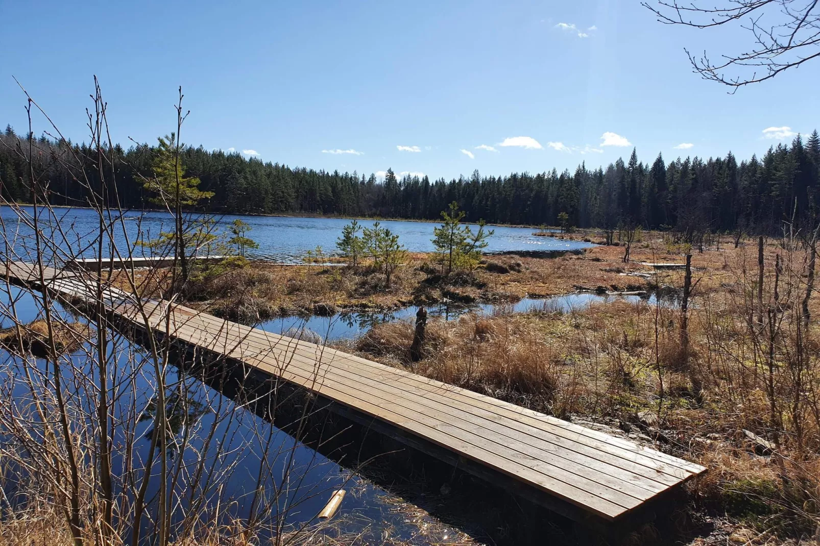 6 persoons vakantie huis in ÅSBRO-By Traum