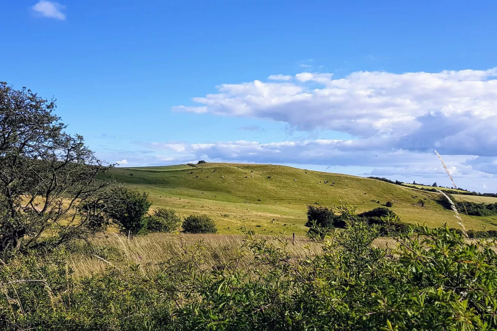 7 persoons vakantie huis in Knebel-By Traum-Niet-getagd