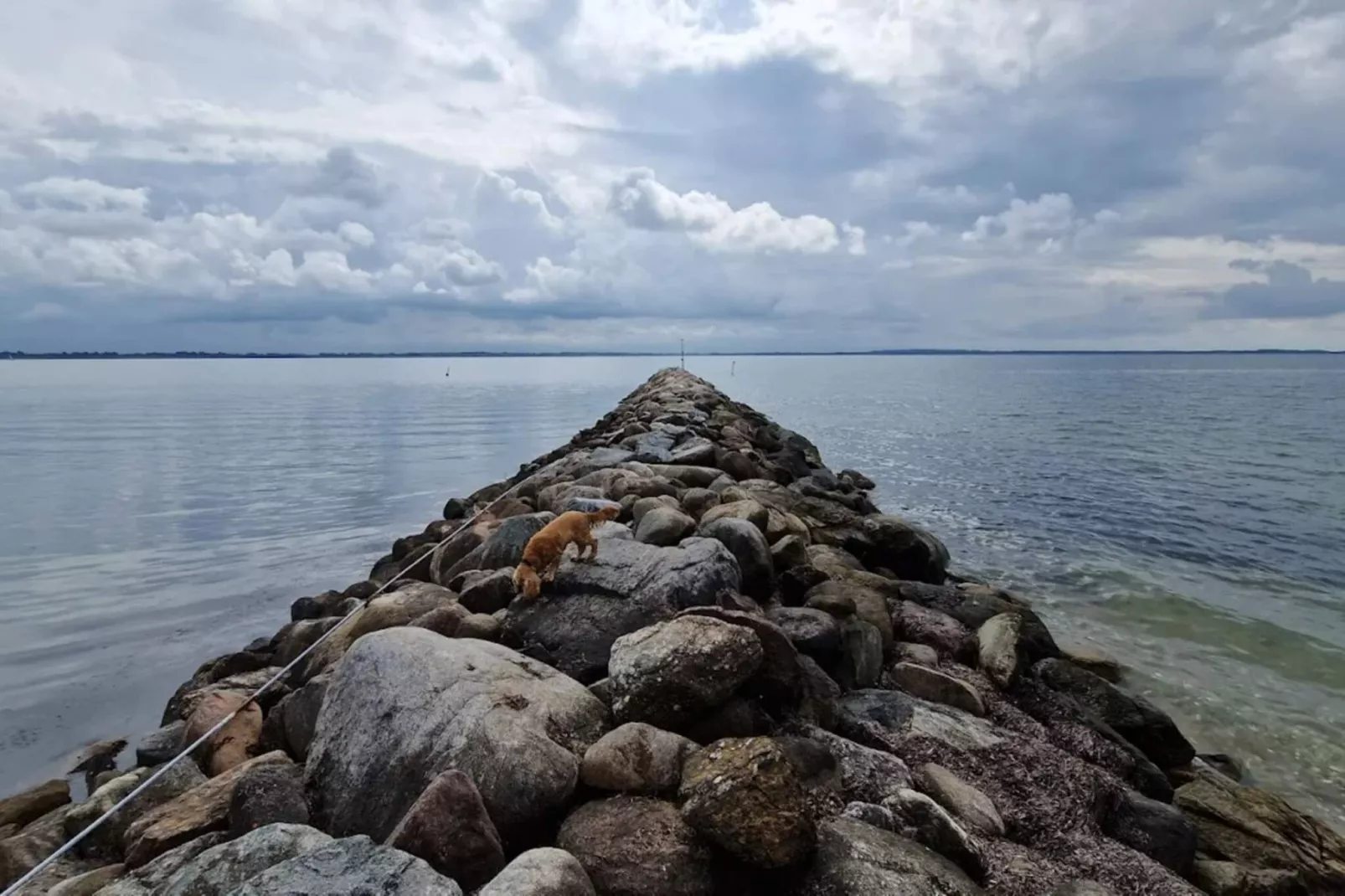 6 persoons vakantiehuis in Øster Assels-Waterzicht