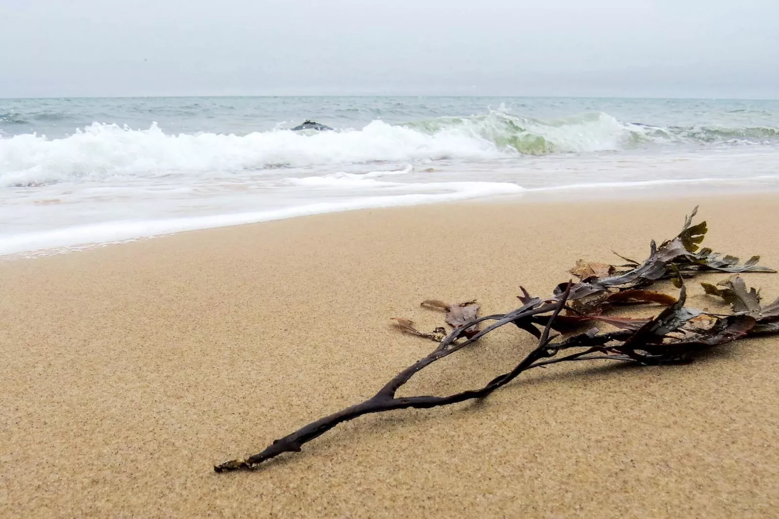 8 persoons vakantie huis in Gilleleje-By Traum-Waterzicht