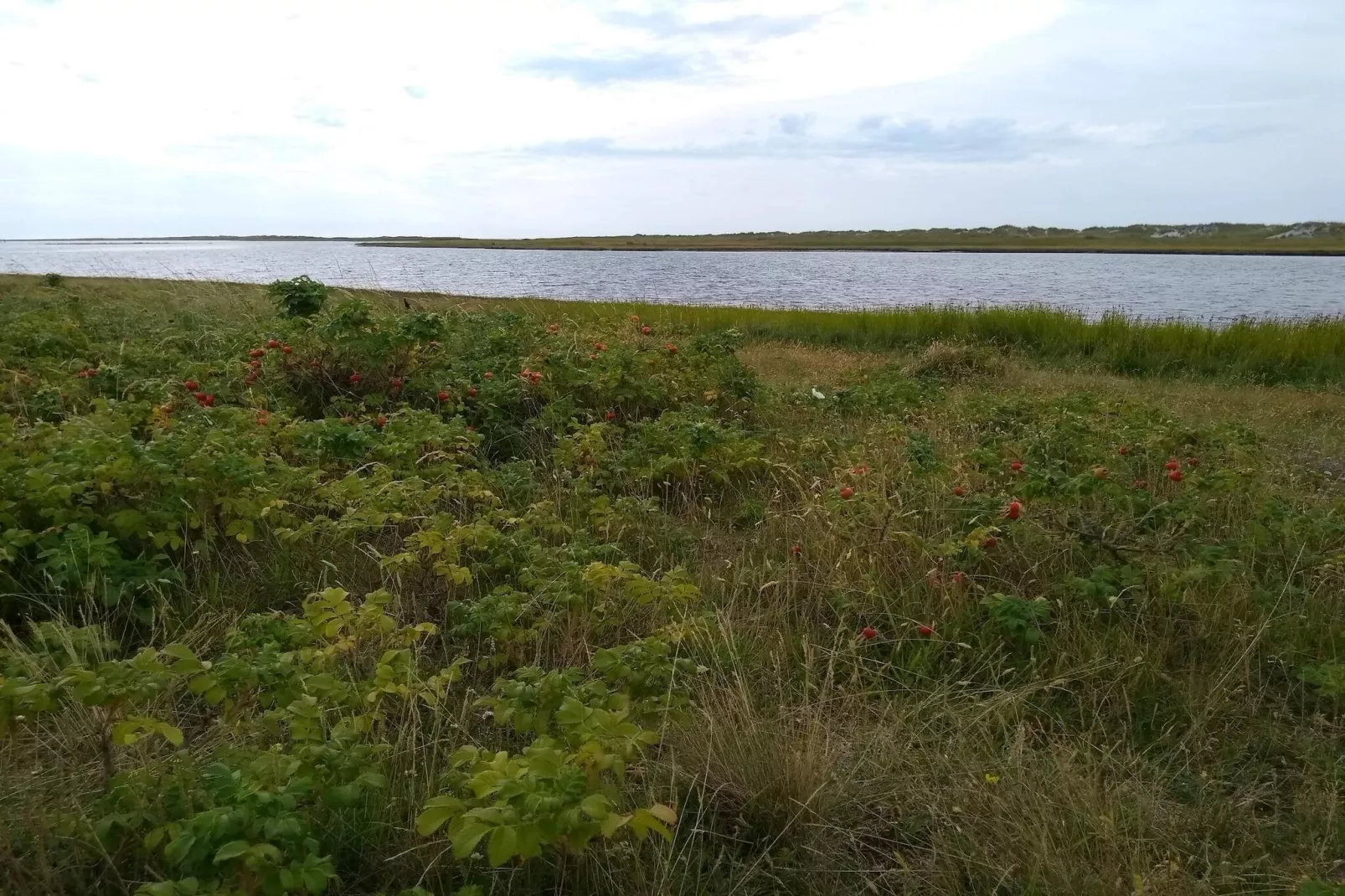 6 persoons vakantie huis in Læsø-By Traum-Niet-getagd