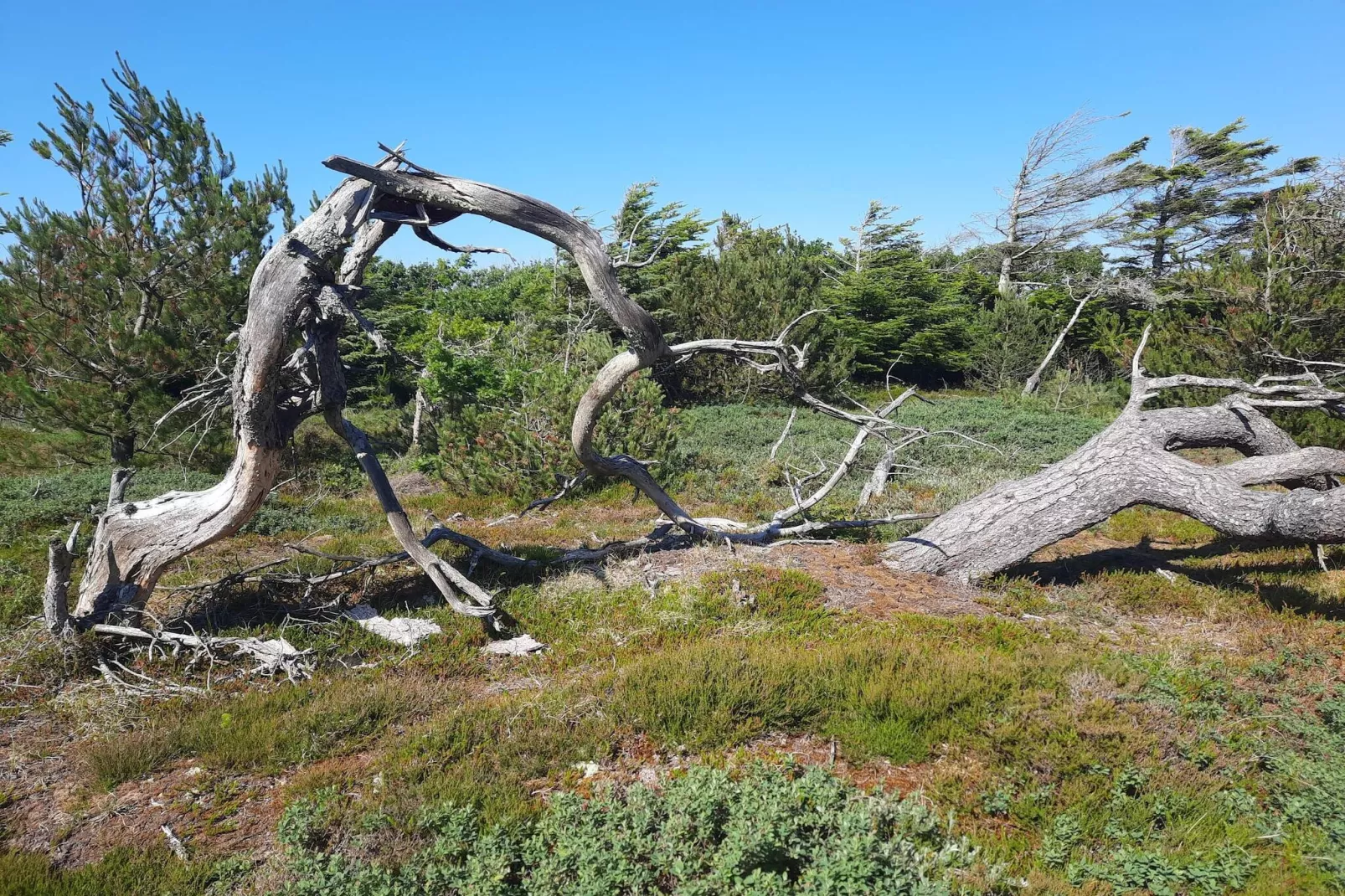 6 persoons vakantie huis in Thisted-By Traum-Niet-getagd