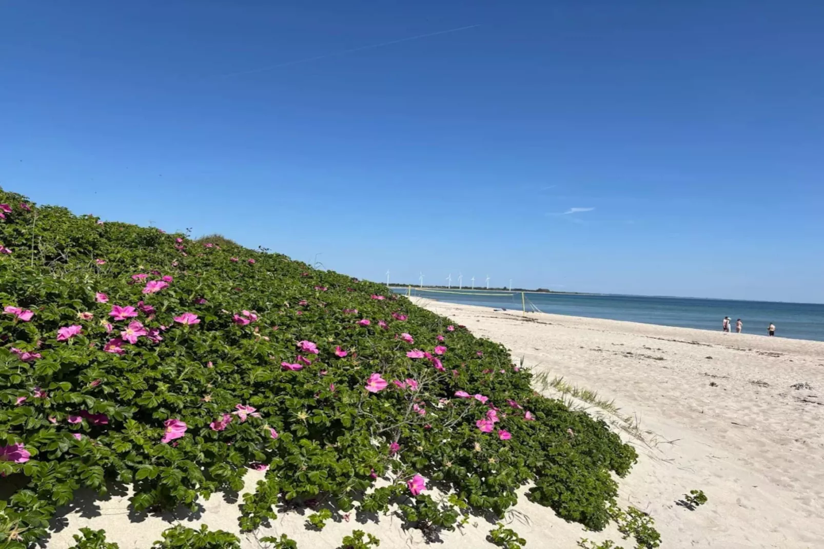 8 persoons vakantie huis in Sydals-By Traum-Waterzicht