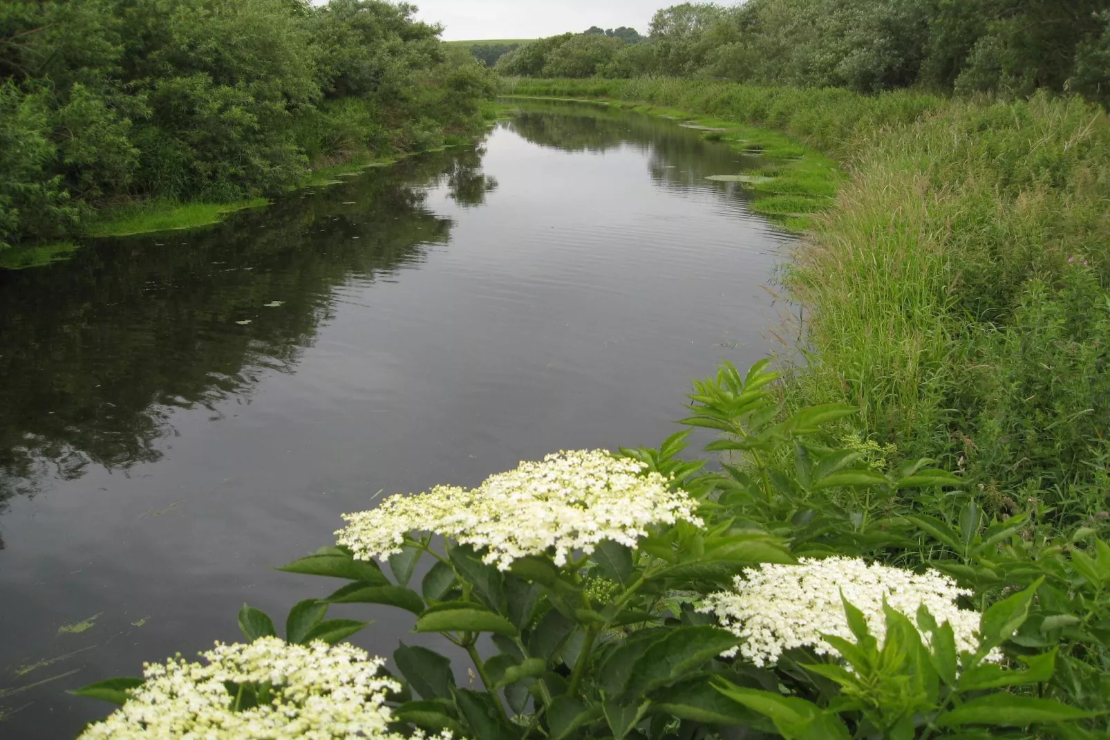 6 persoons vakantie huis in Kolind-By Traum
