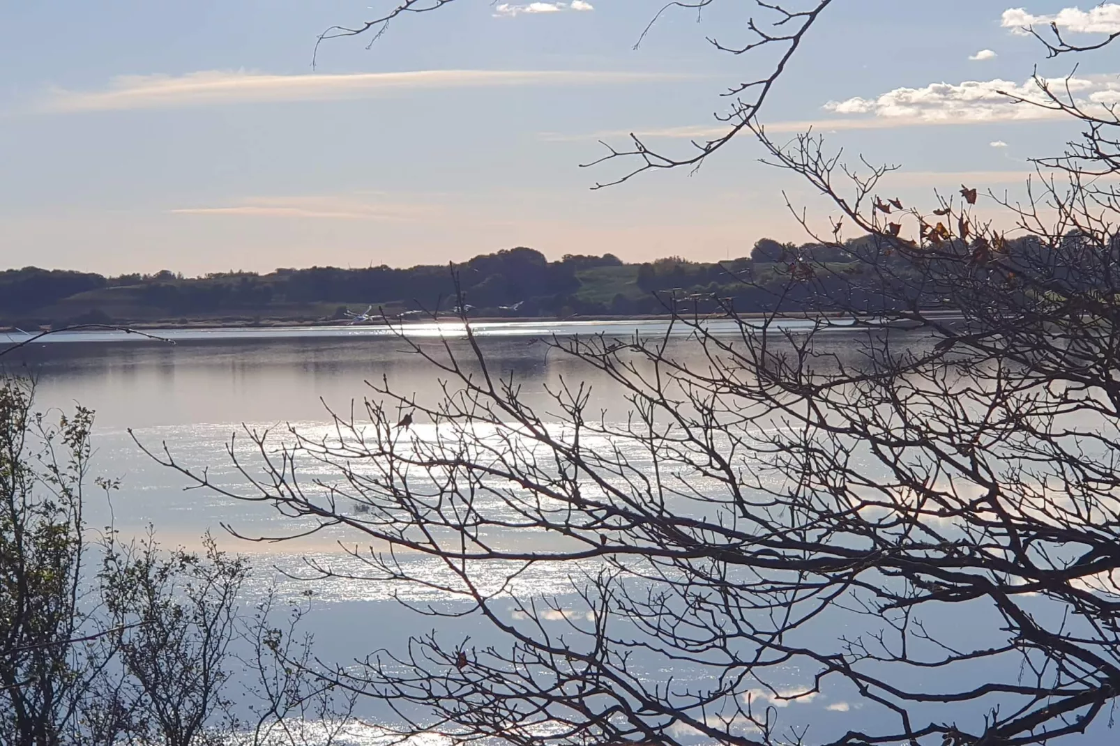 8 persoons vakantie huis in Skals-By Traum-Waterzicht