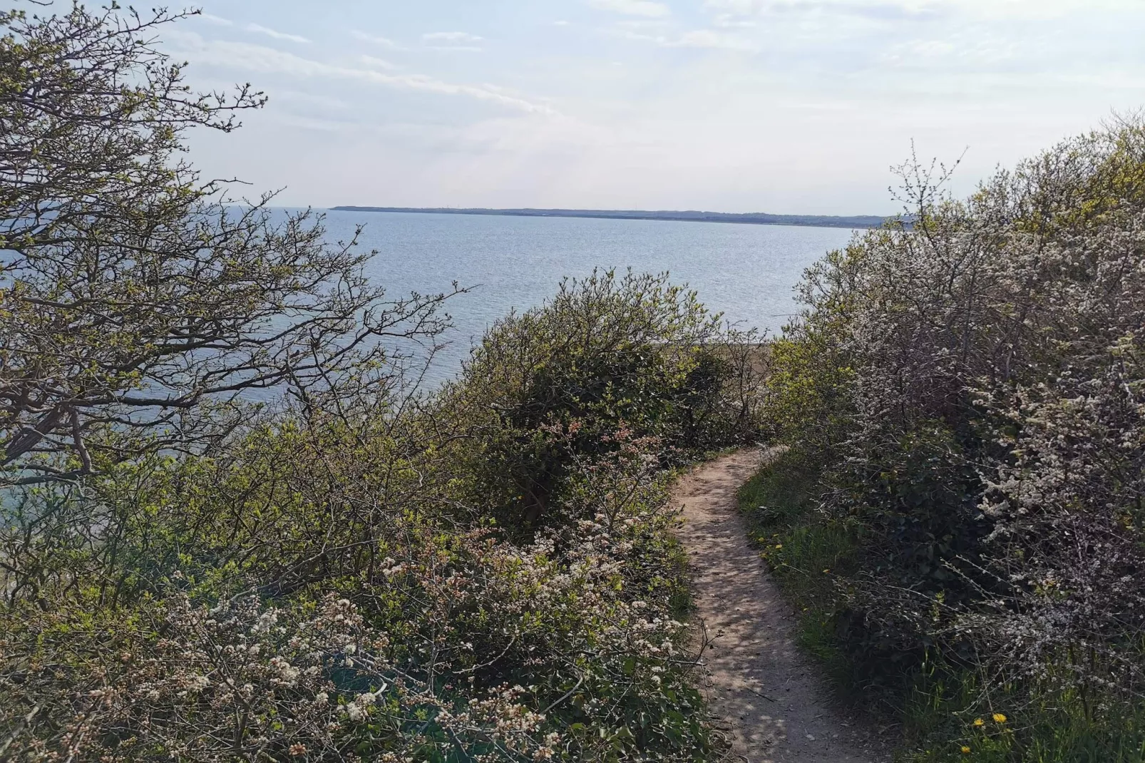 14 persoons vakantie huis in Ebeltoft-By Traum