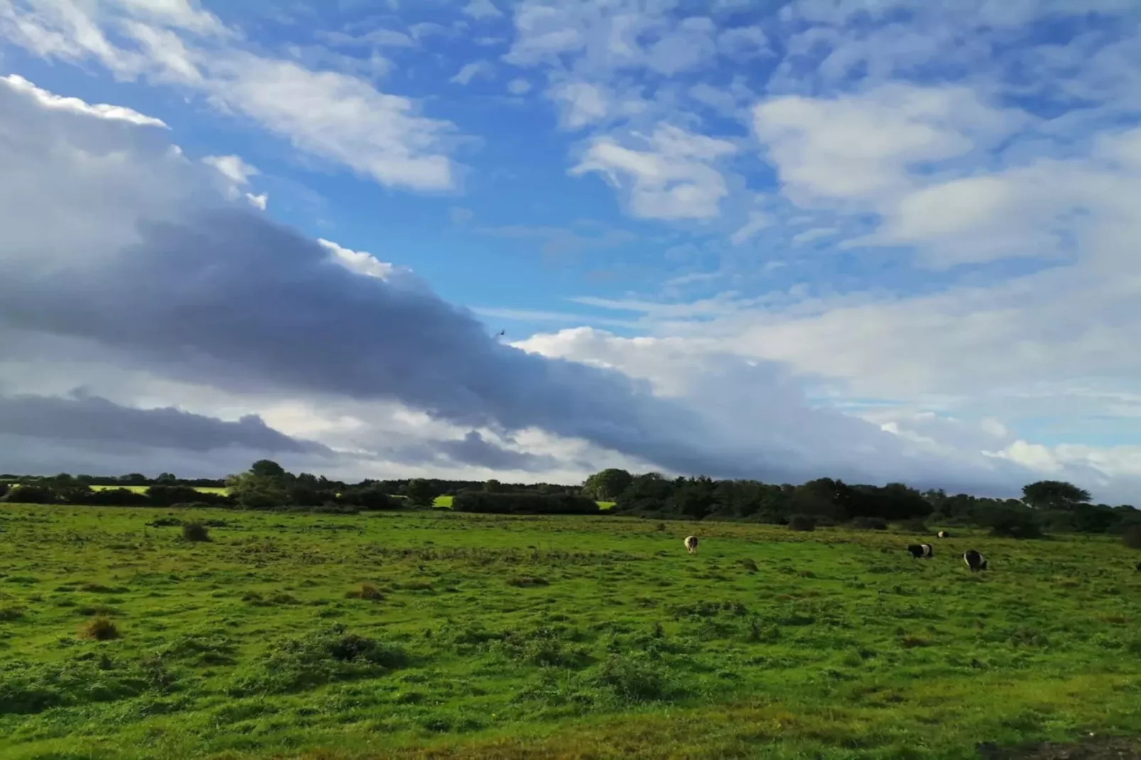 Familieplezier aan zee -- By Traum Ferienwohnungen-Niet-getagd