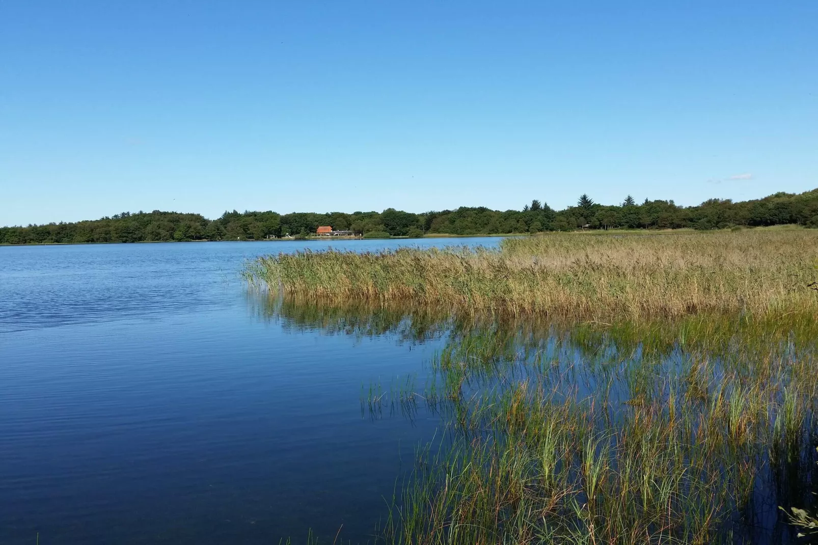 5 persoons vakantie huis in Ansager-By Traum