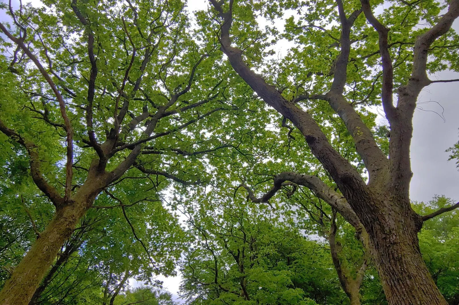 Rustig toevluchtsoord met Spa -- By Traum-Niet-getagd