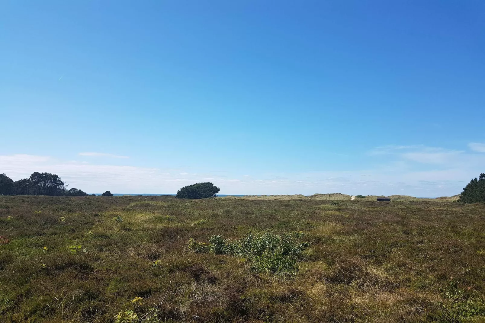 6 persoons vakantie huis in Læsø-By Traum-Niet-getagd