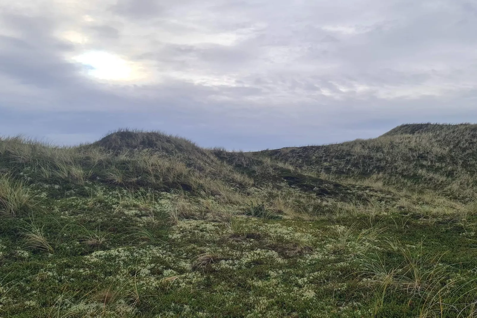 Ruim toevluchtsoord met spa -- By Traum Ferienwohnungen-Niet-getagd