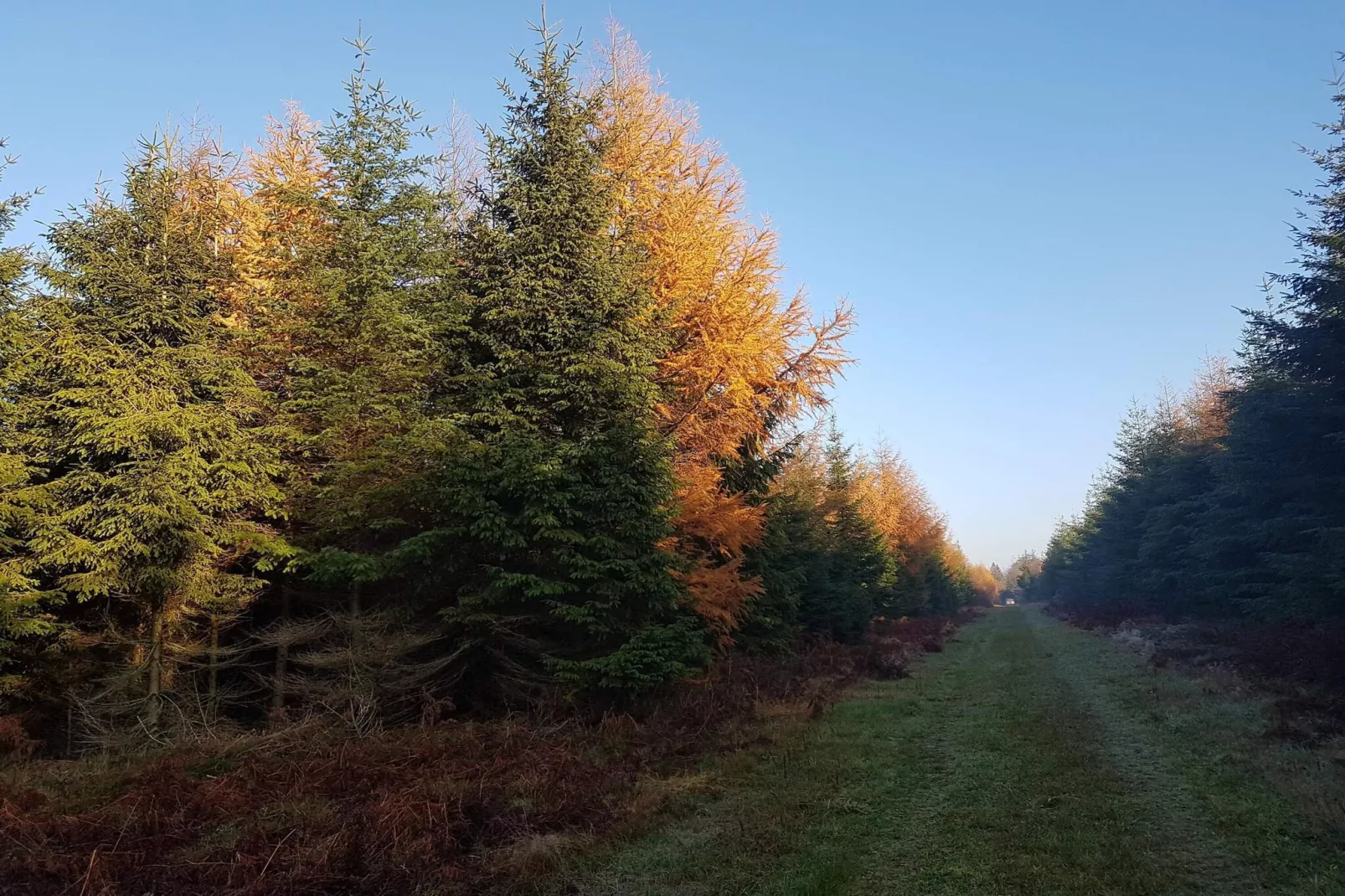 4 persoons vakantie huis in Toftlund-By Traum-Niet-getagd