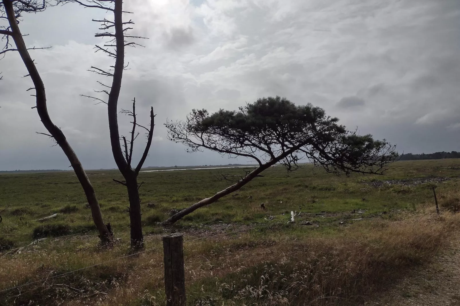 6 persoons vakantie huis in Oksbøl-Niet-getagd