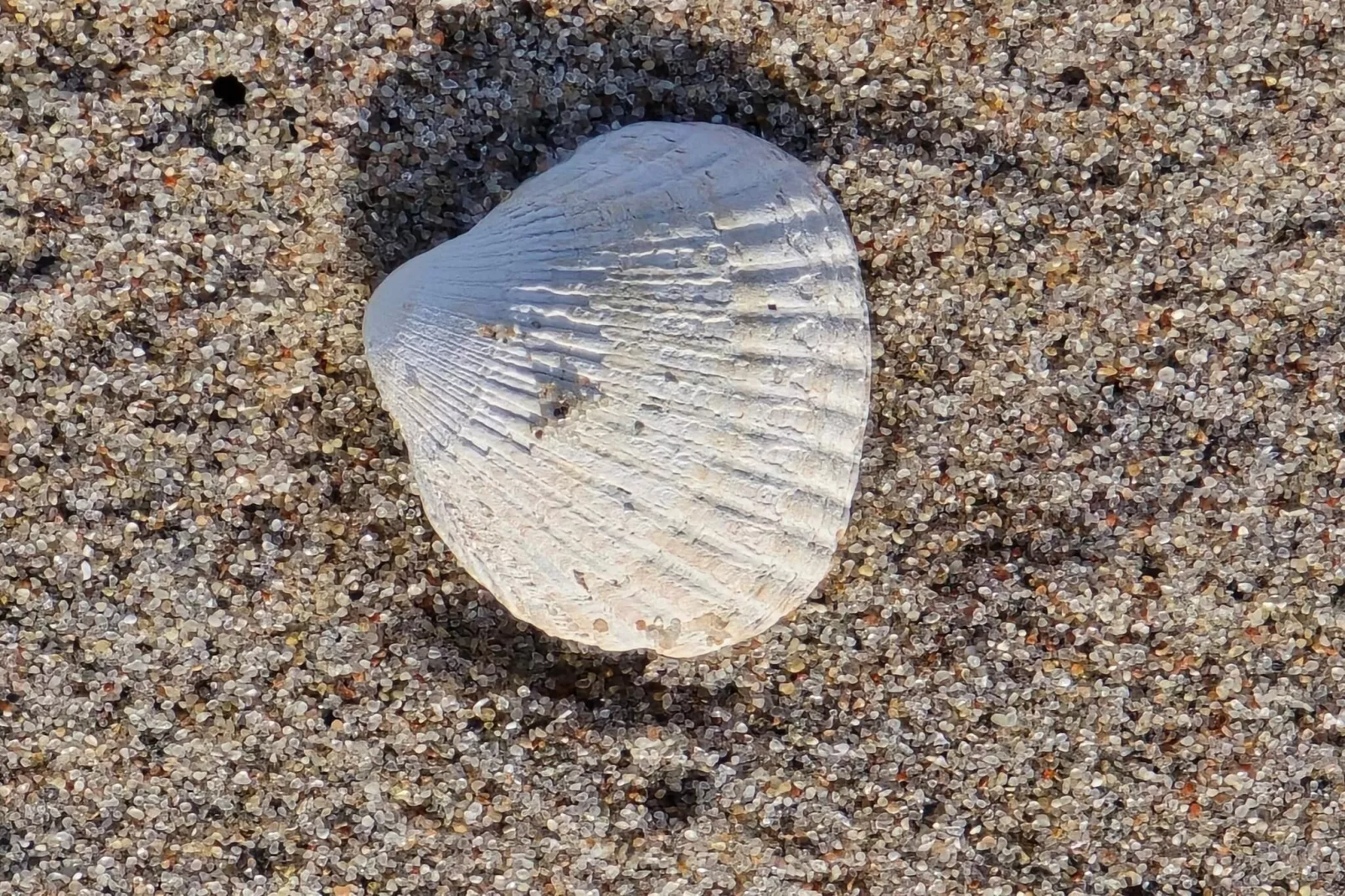 6 persoons vakantie huis in Store Fuglede-By Traum-Niet-getagd