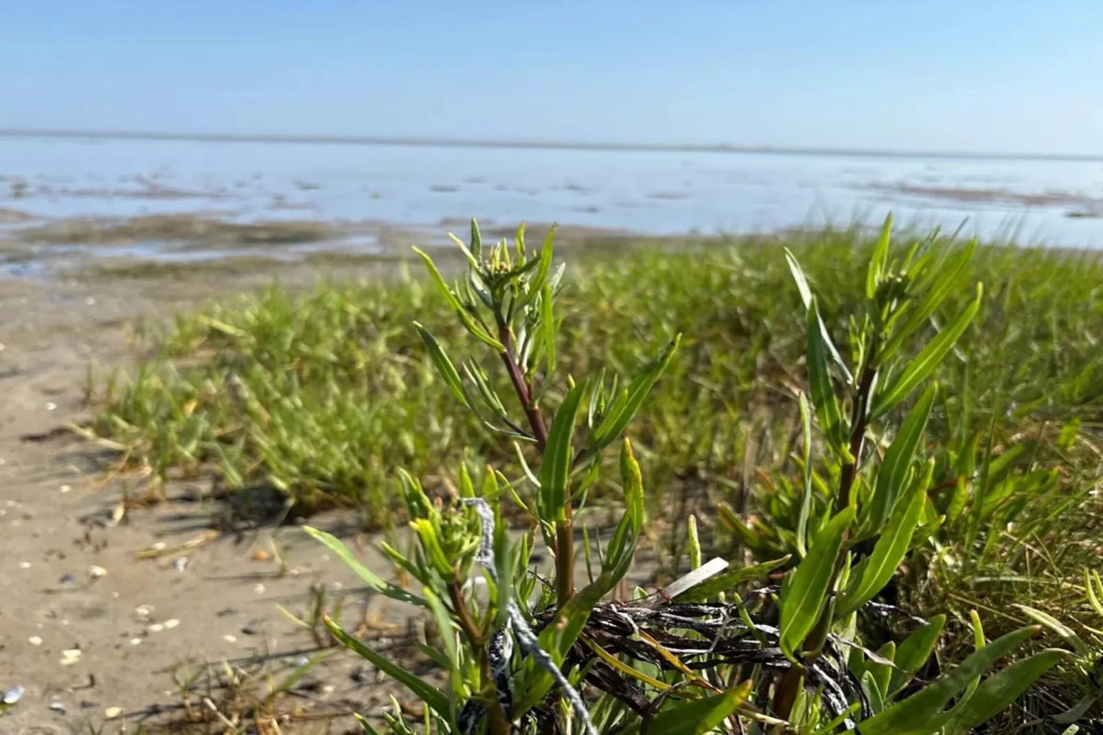 11 persoons vakantie huis in Ørsted-By Traum-Waterzicht