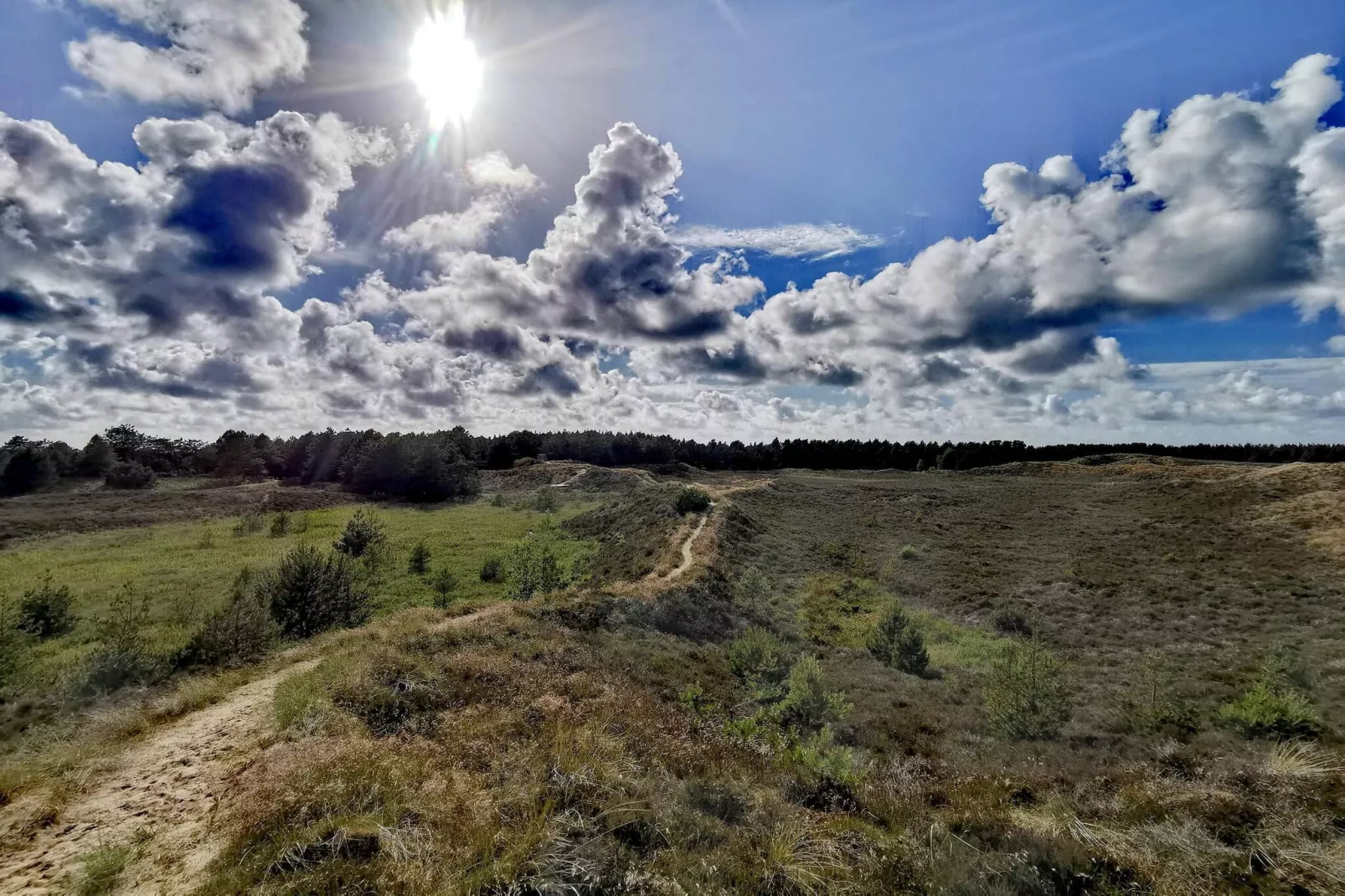 8 persoons vakantie huis in Rømø-By Traum