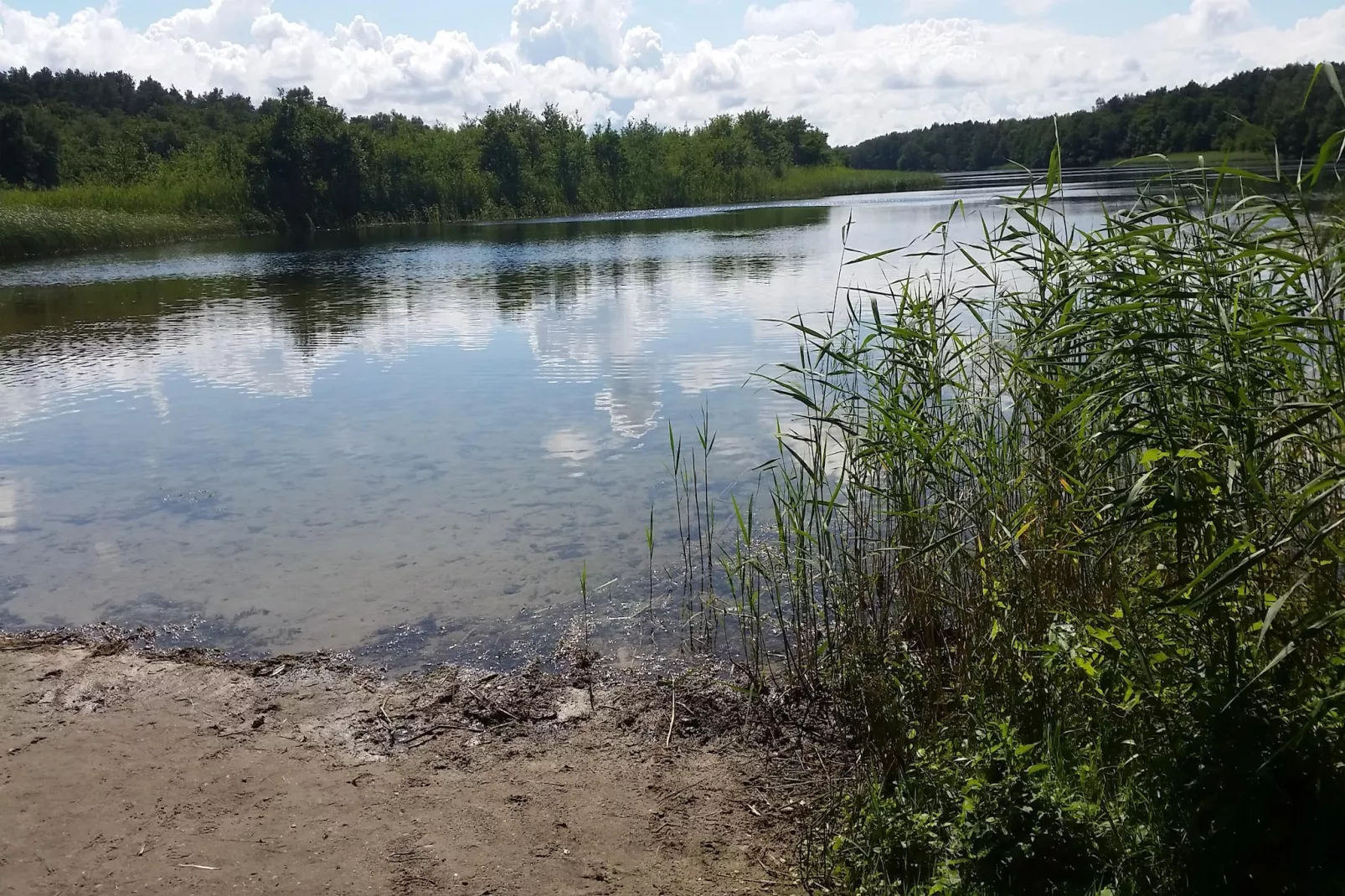 Holiday flat in Kolczewo70 qm for 6 persons-Gebieden zomer 1km