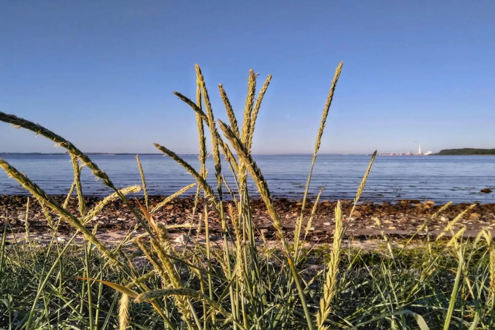 4 persoons vakantie huis in Rønde-By Traum-Waterzicht