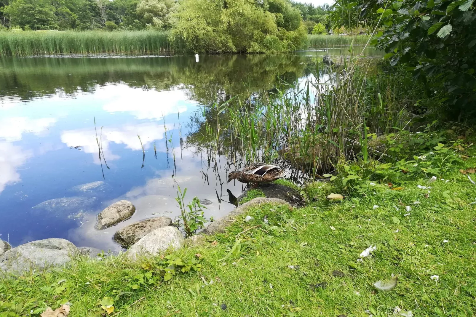 6 persoons vakantie huis in Væggerløse-By Traum-Waterzicht