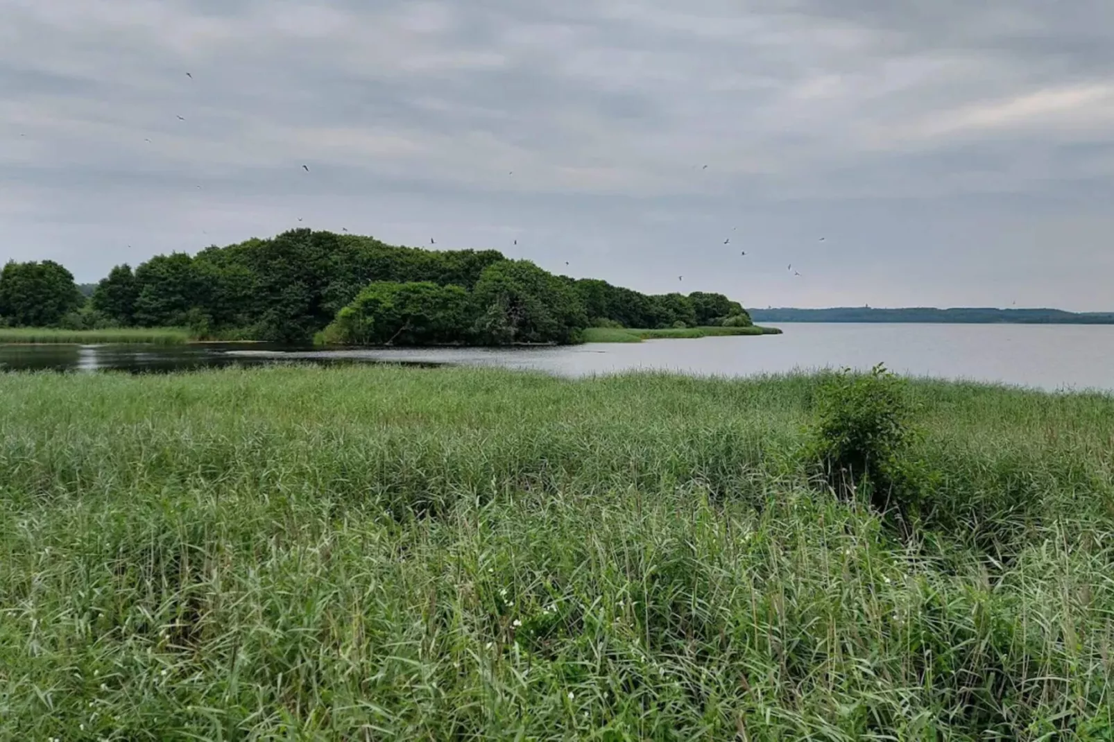 6 persoons vakantiehuis in Ebeltoft-Waterzicht