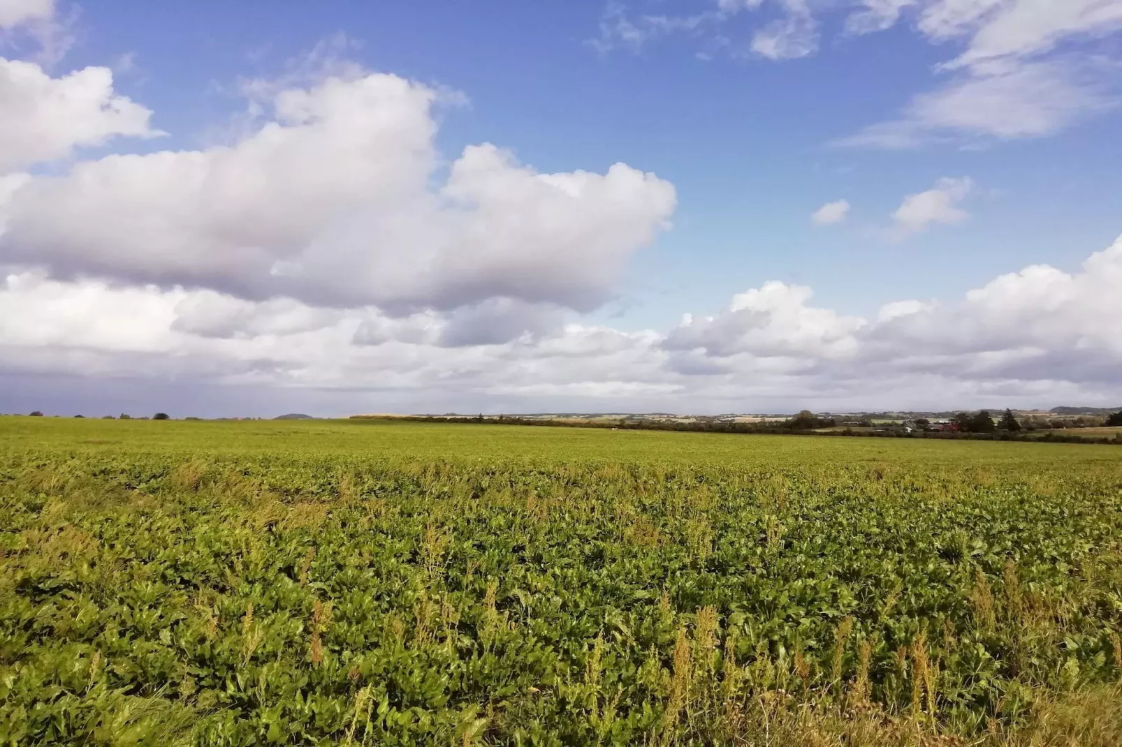 6 persoons vakantie huis in Stege-Niet-getagd