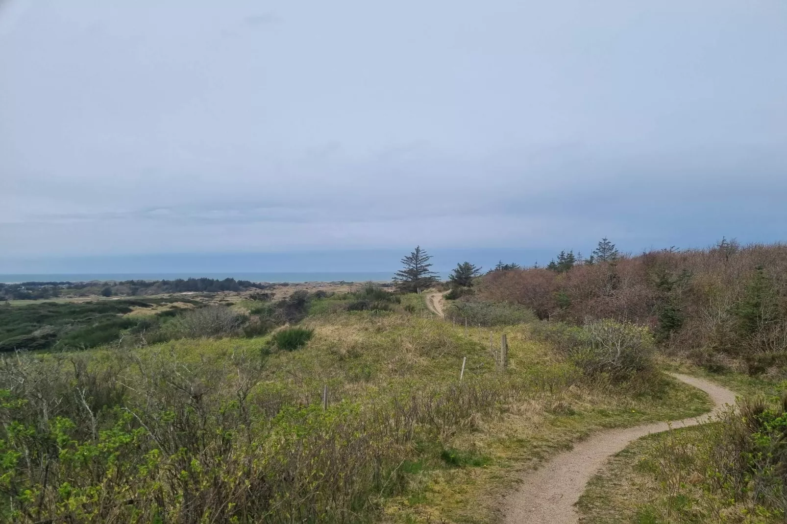 6 persoons vakantie huis in Saltum-By Traum-Niet-getagd