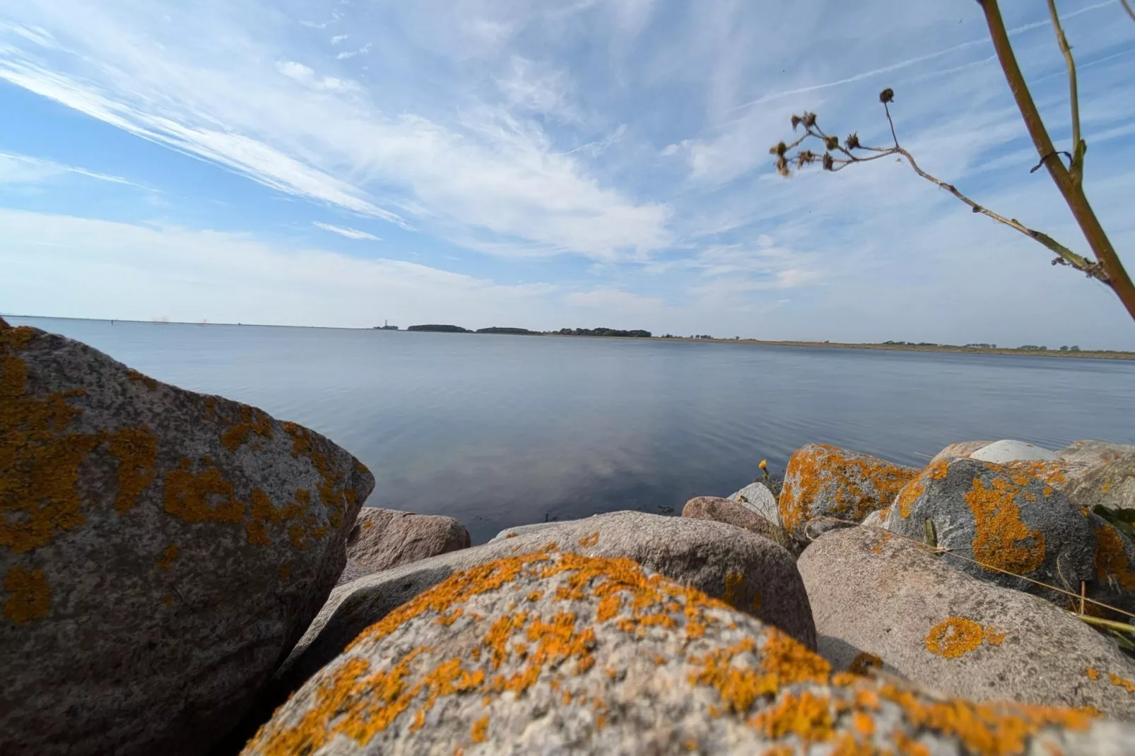 FeWo EG E-37-Gebieden zomer 1km