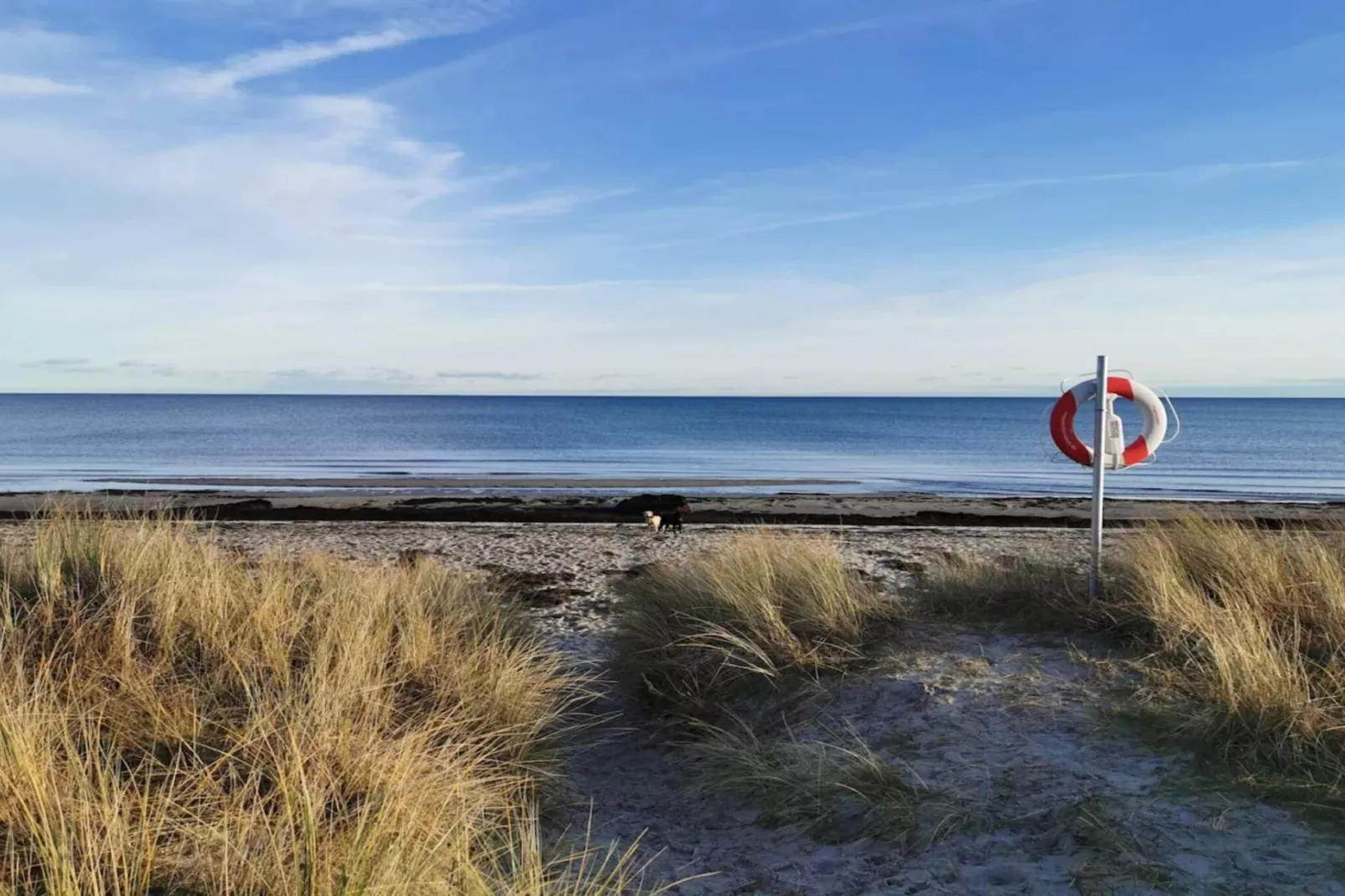 14 persoons vakantie huis in Væggerløse-By Traum