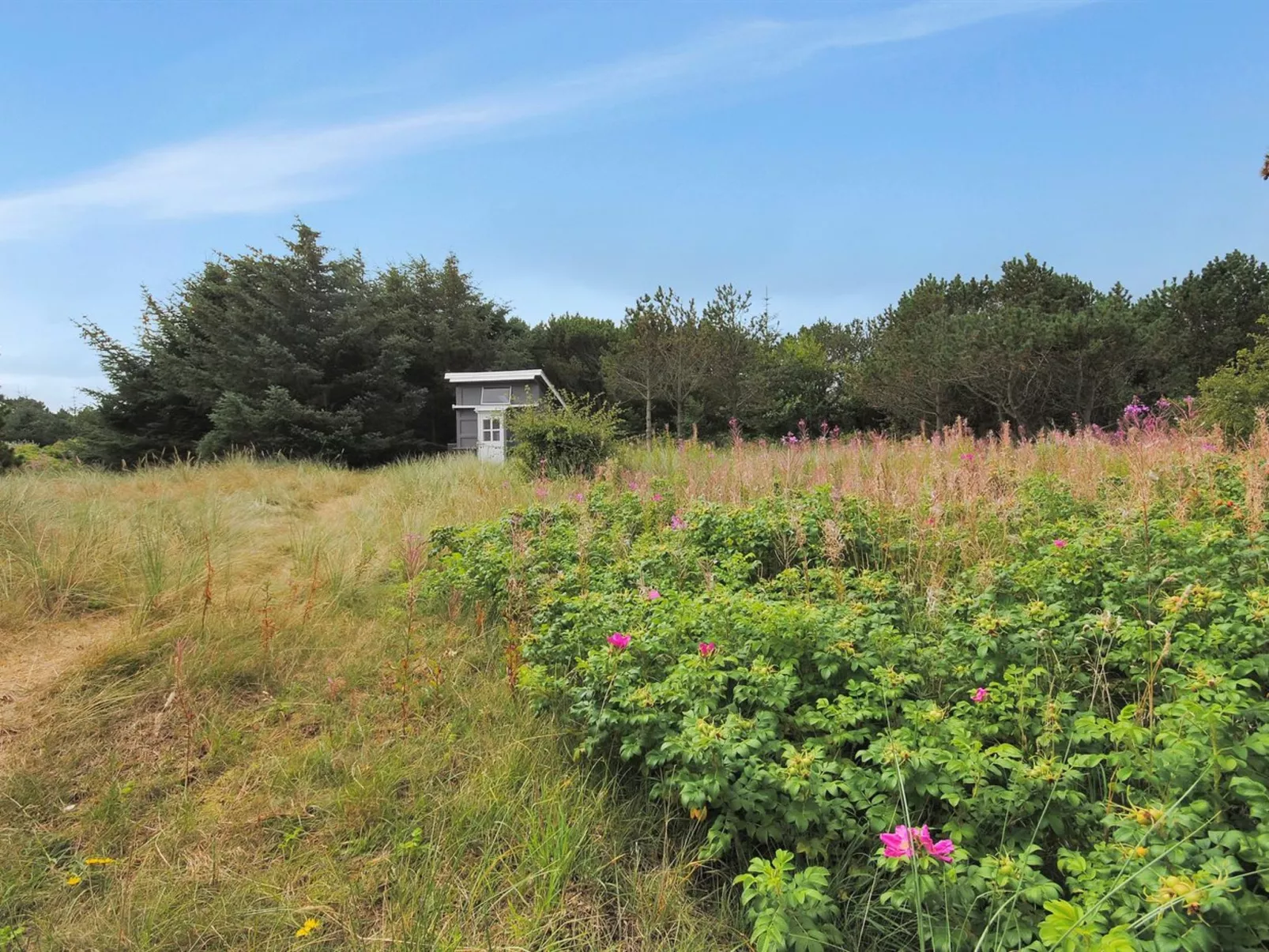 "Dode" - 225m from the sea-Buiten