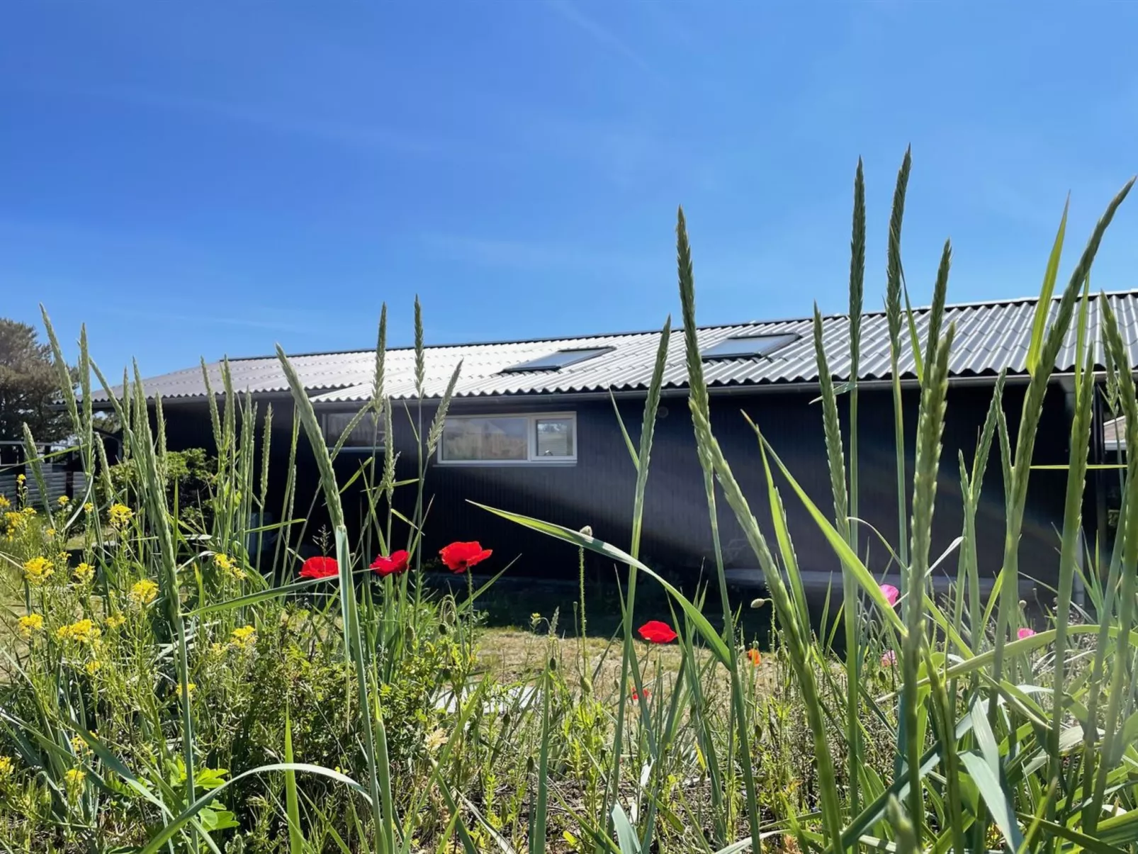 "Selle" - 100m from the sea-Buiten