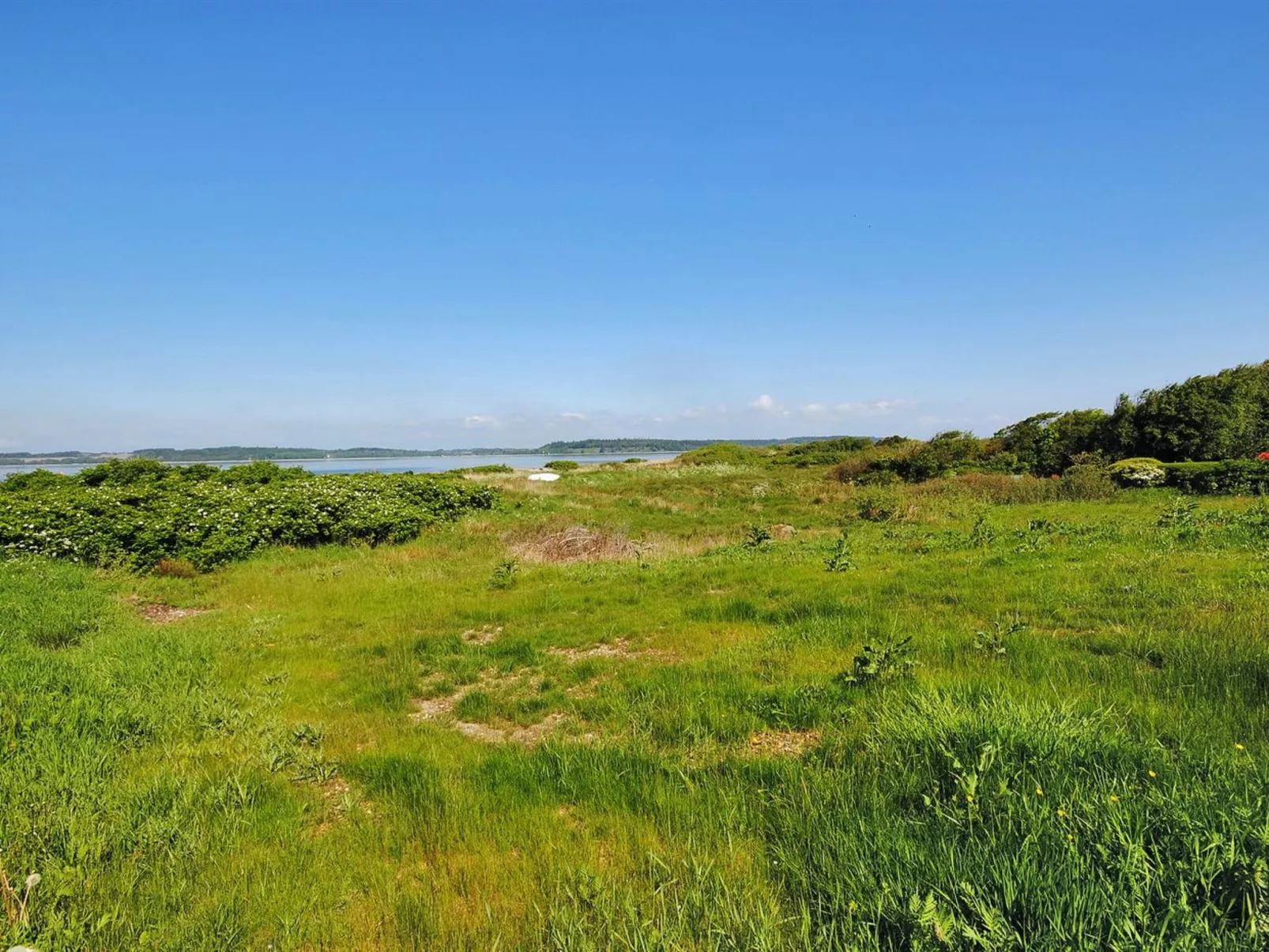 "Eloise" - 50m to the fjord-Buiten