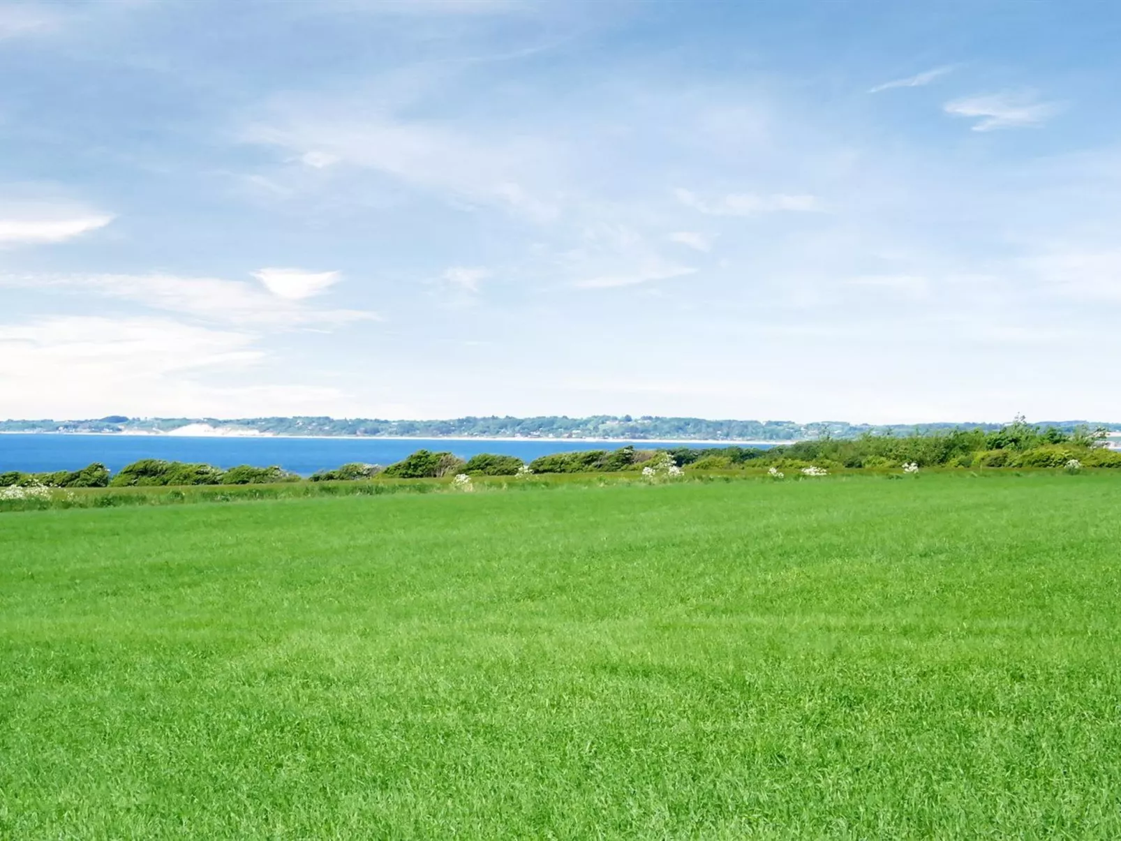 "Brynjolf" - 350m to the fjord-Buiten