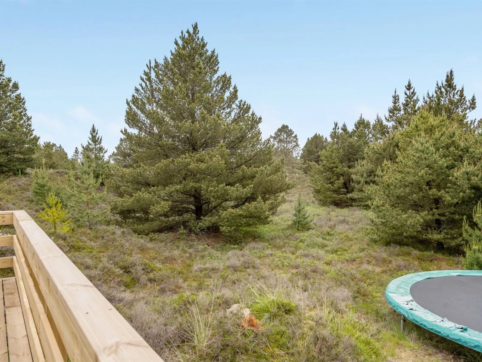 "Mariette" - 3.1km from the sea-Buiten