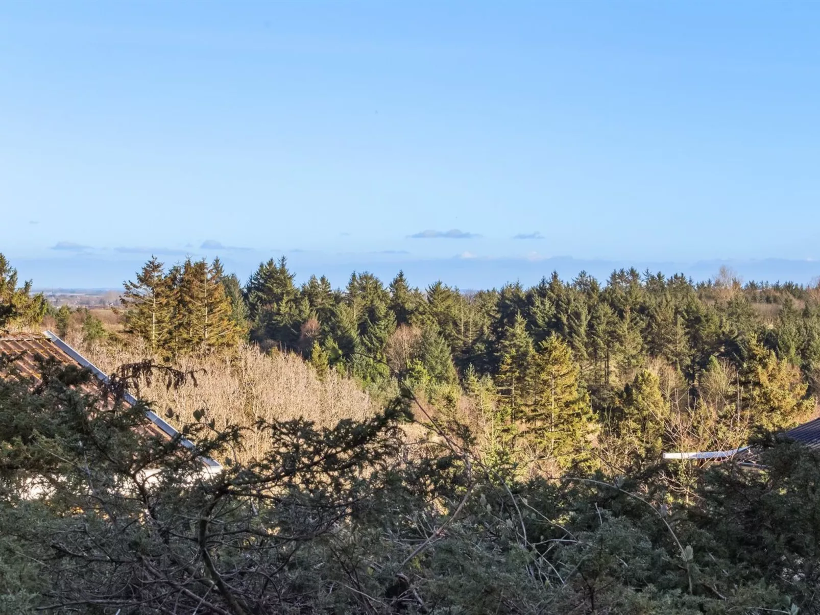 "Jaakob" - 4km from the sea-Buiten