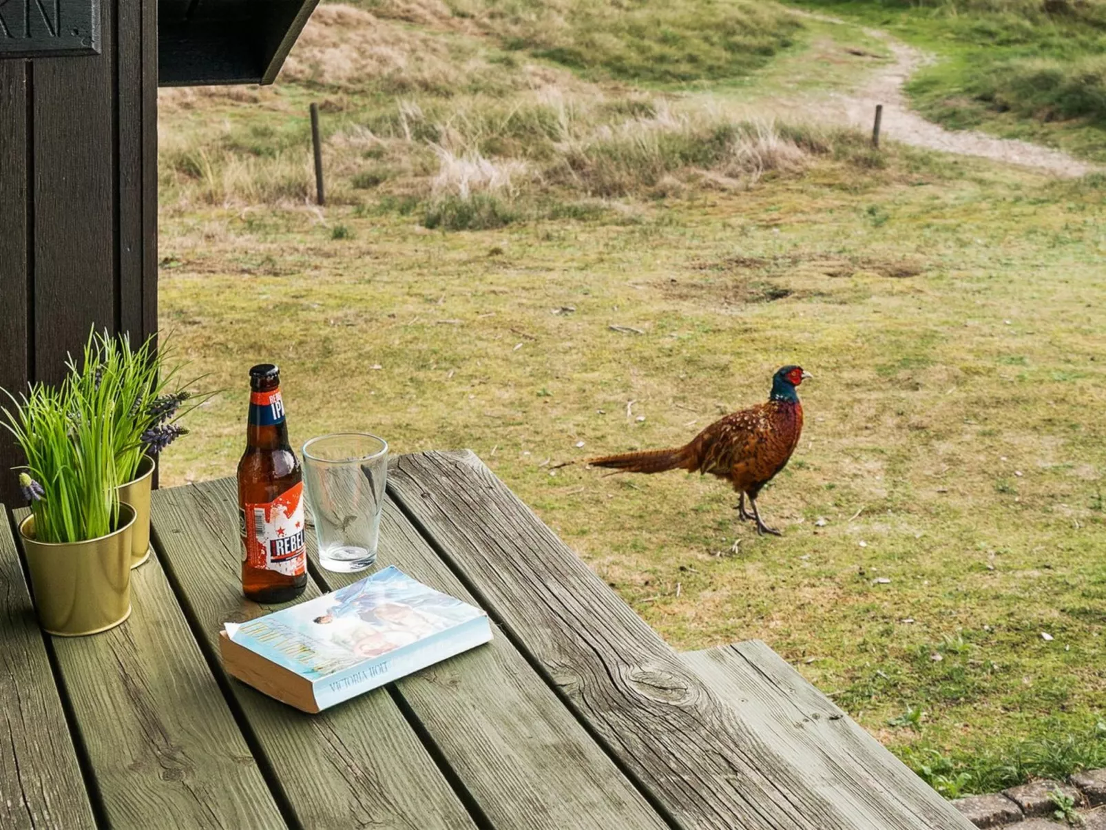 "Delia" - 300m from the sea-Buiten