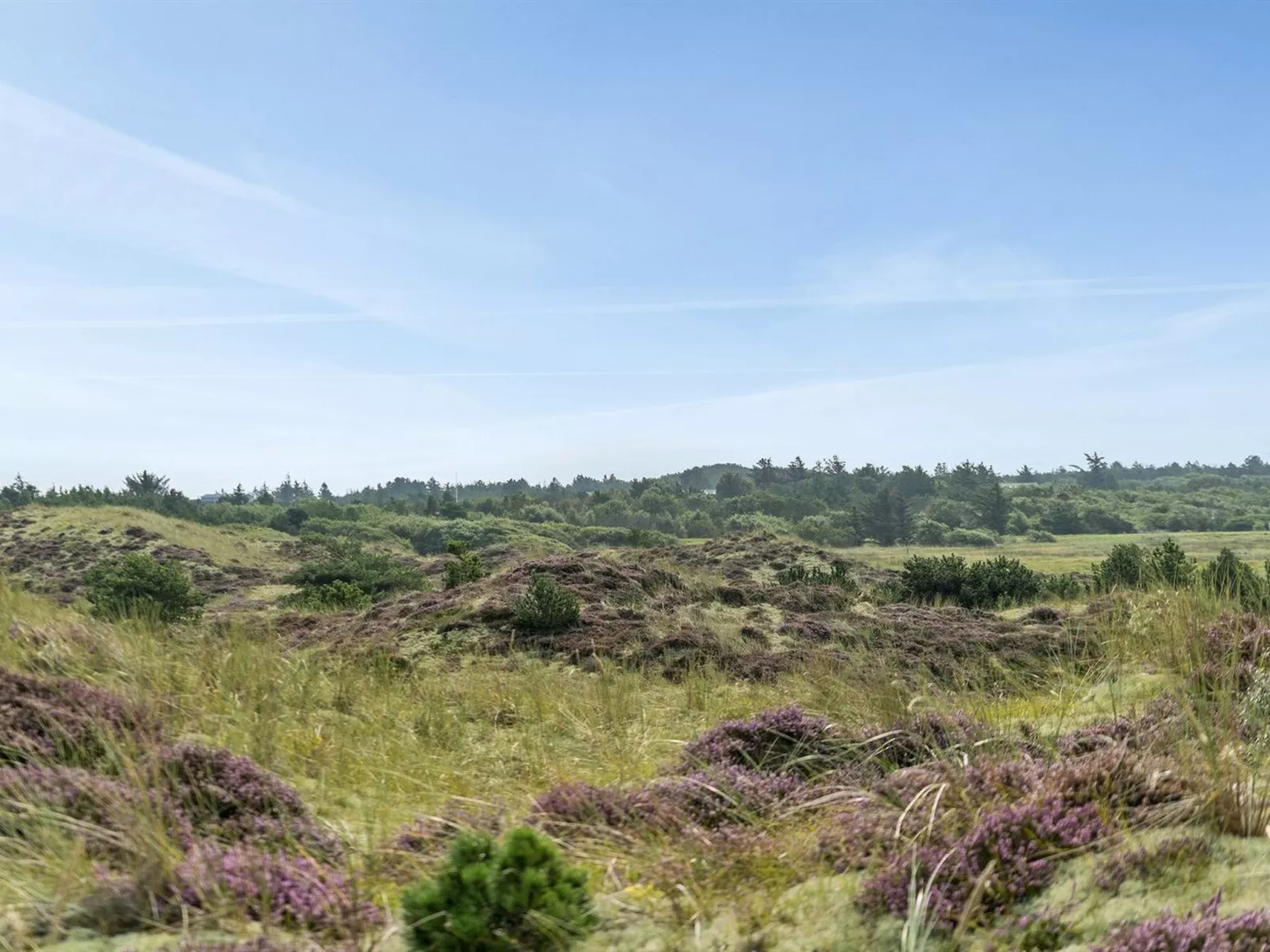 "Thorkil" - 800m from the sea-Buiten