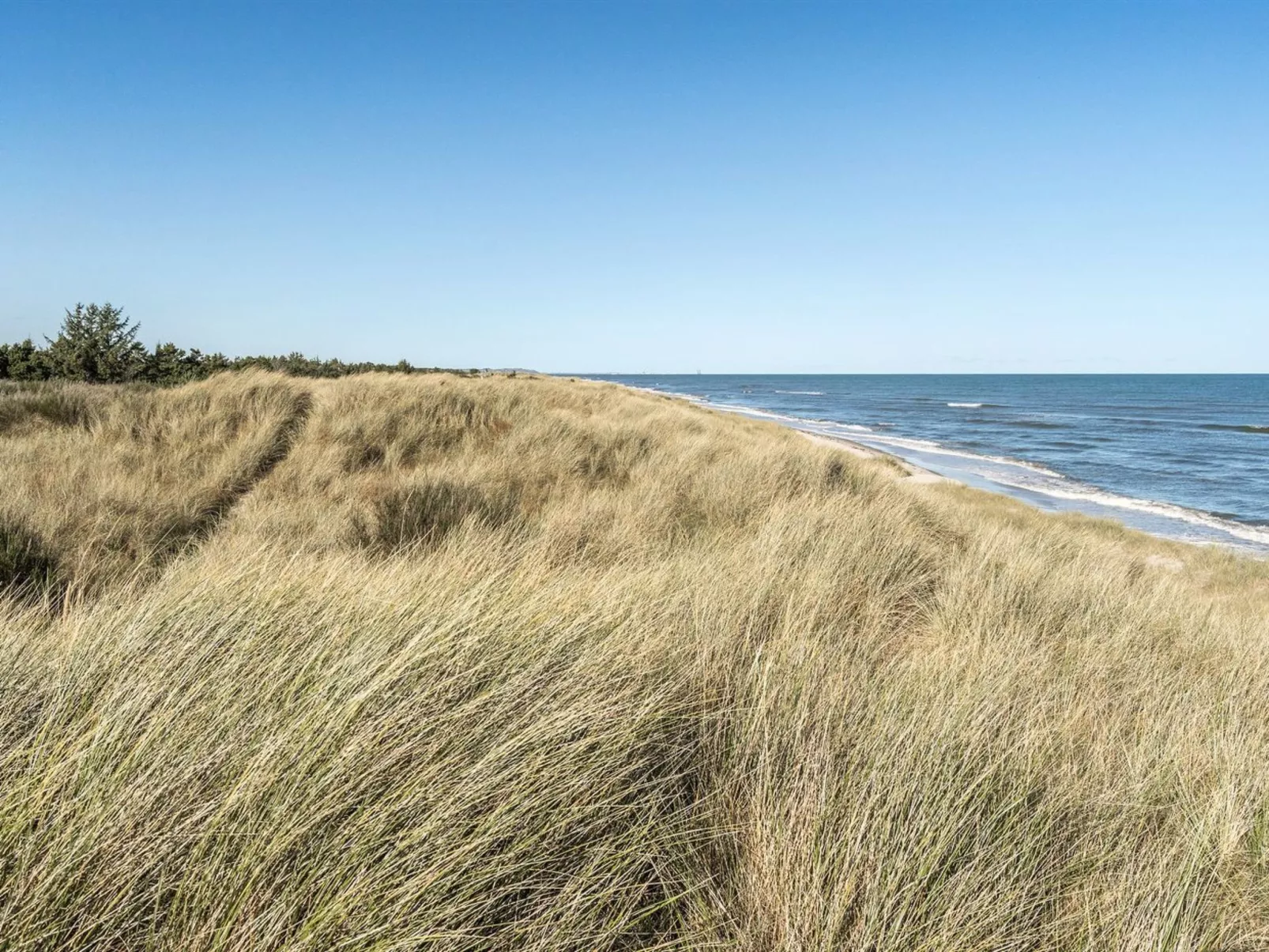 "Jeldrik" - 100m from the sea-Buiten