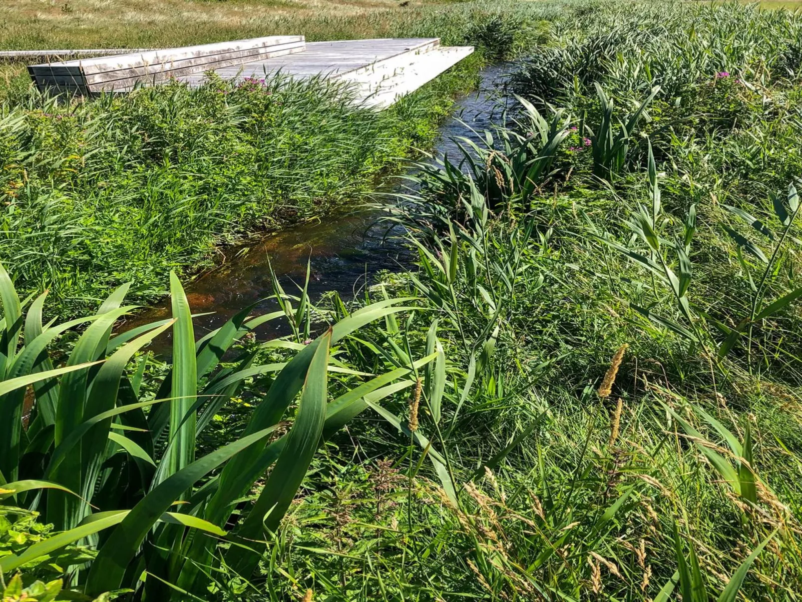 "Lökea" - 800m from the sea-Buiten