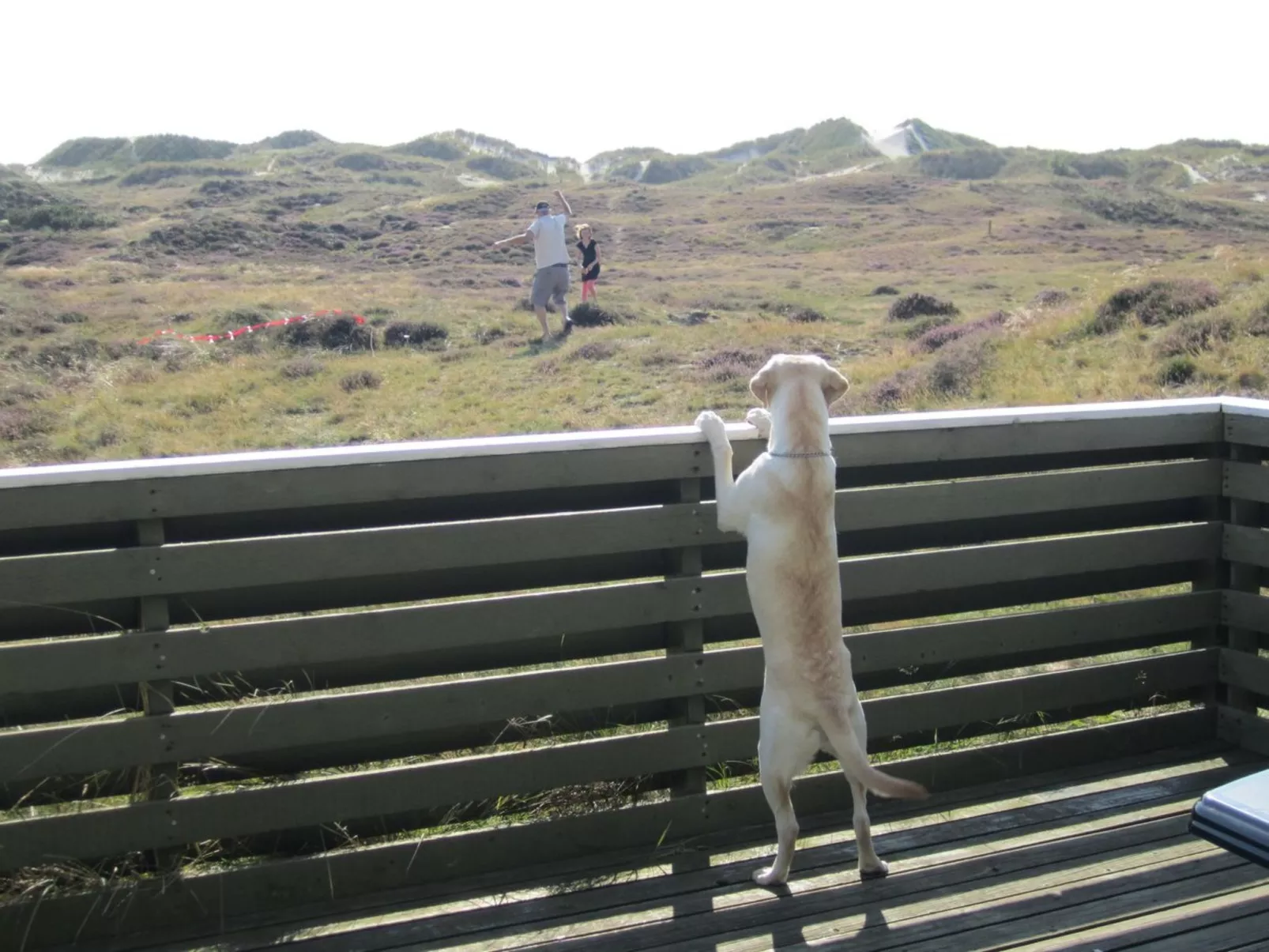 "Lilja" - 1.5km from the sea-Buiten