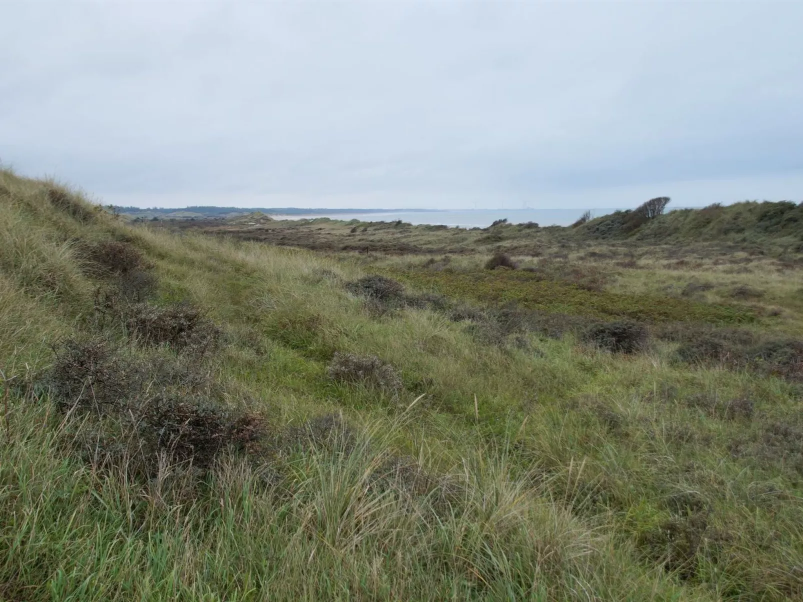 "Amadahy" - 950m from the sea-Buiten