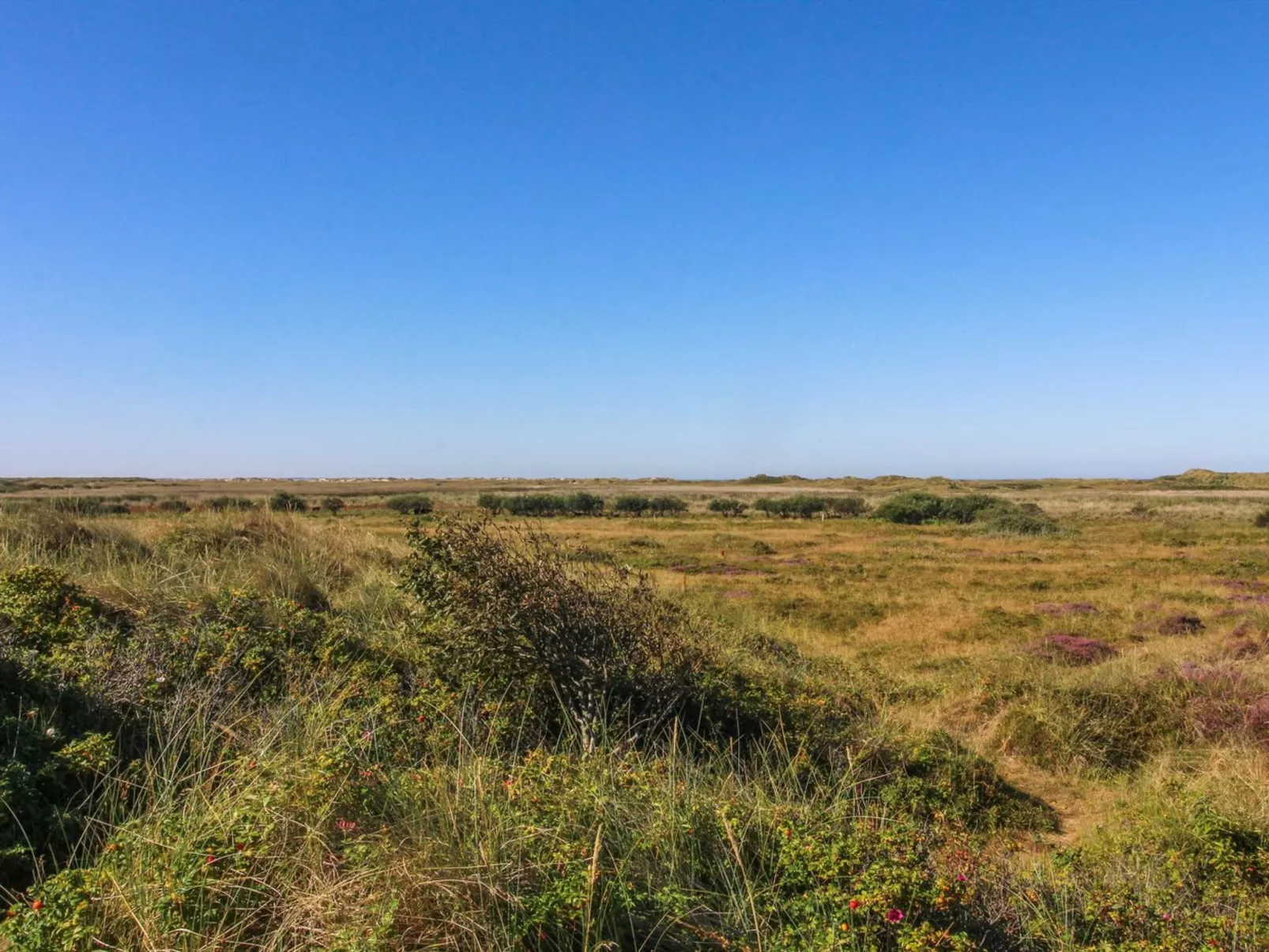 "Alim" - 300m from the sea-Buiten