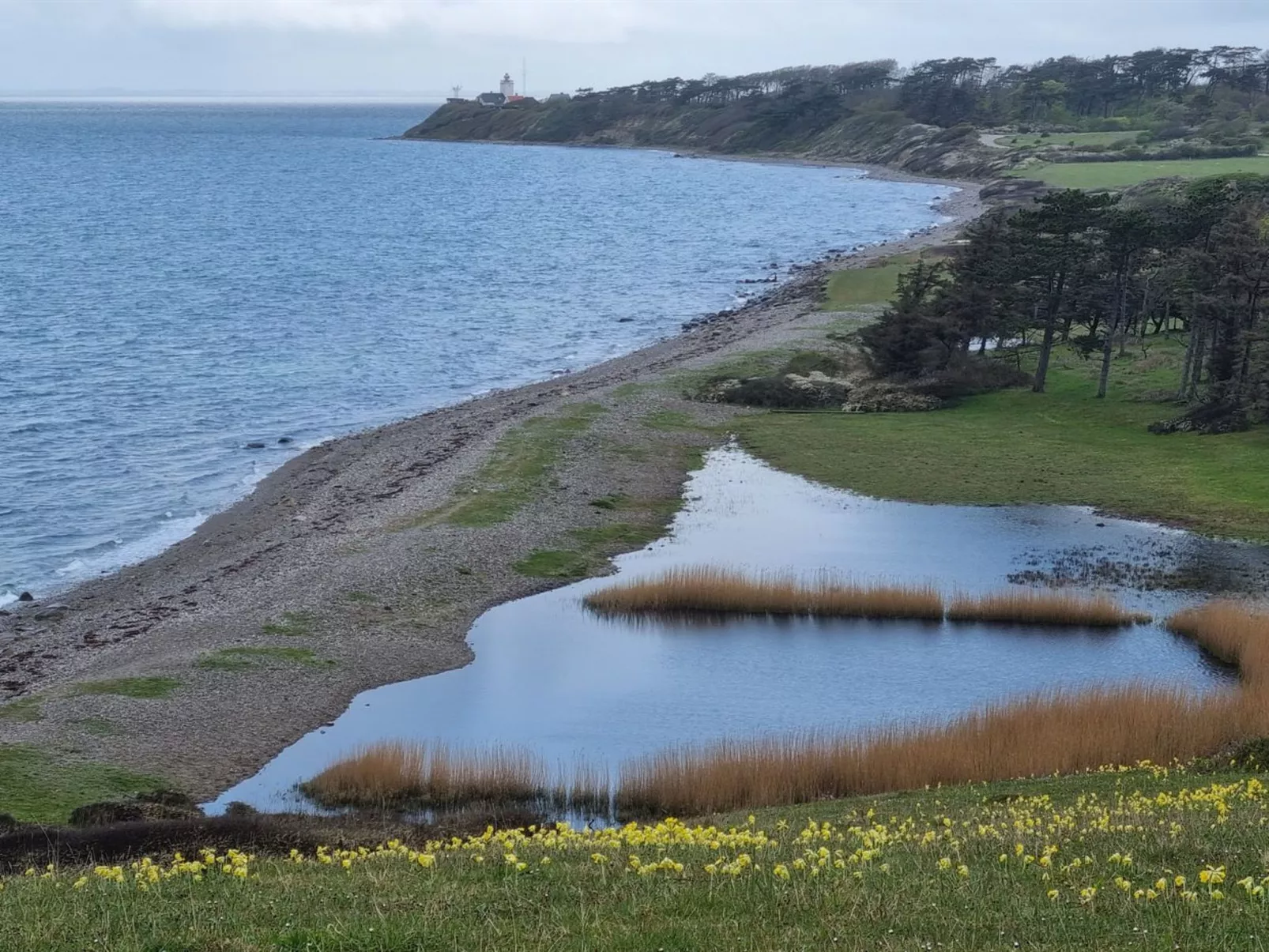 "Miona" - 725m from the sea-Buiten